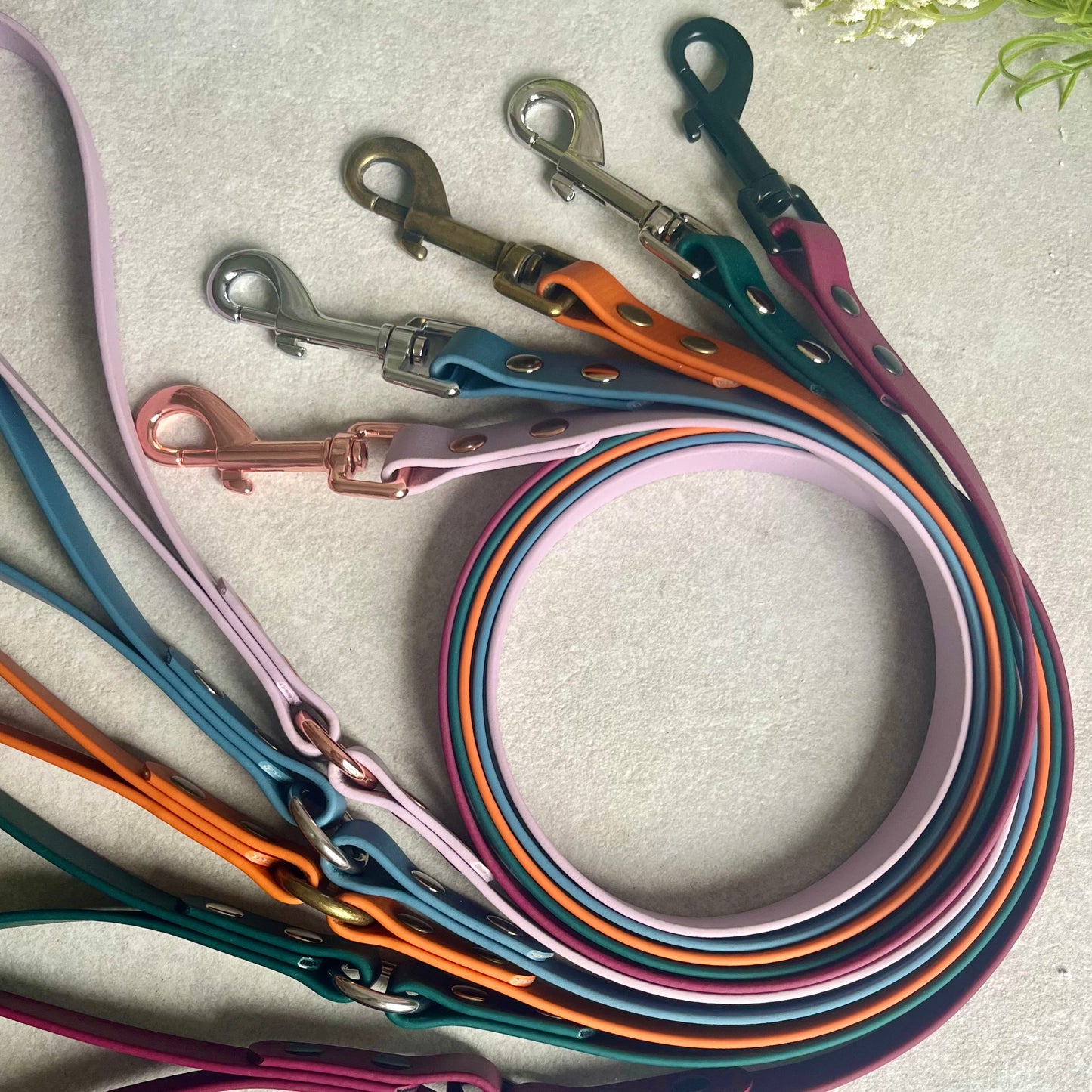Collection of colorful dog leads with metal clips on a light background