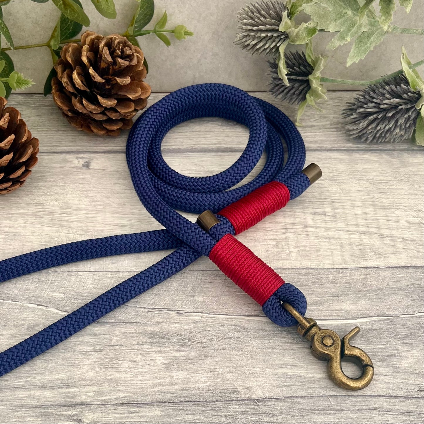 Marine Blue Paracord rope lead with Raspberry whipping securing each end together. At each end of the rope there is a metal end cap, a clip to connect to a collar at one end and a O-ring fixed to the handle. All hardware is Antique Brass
