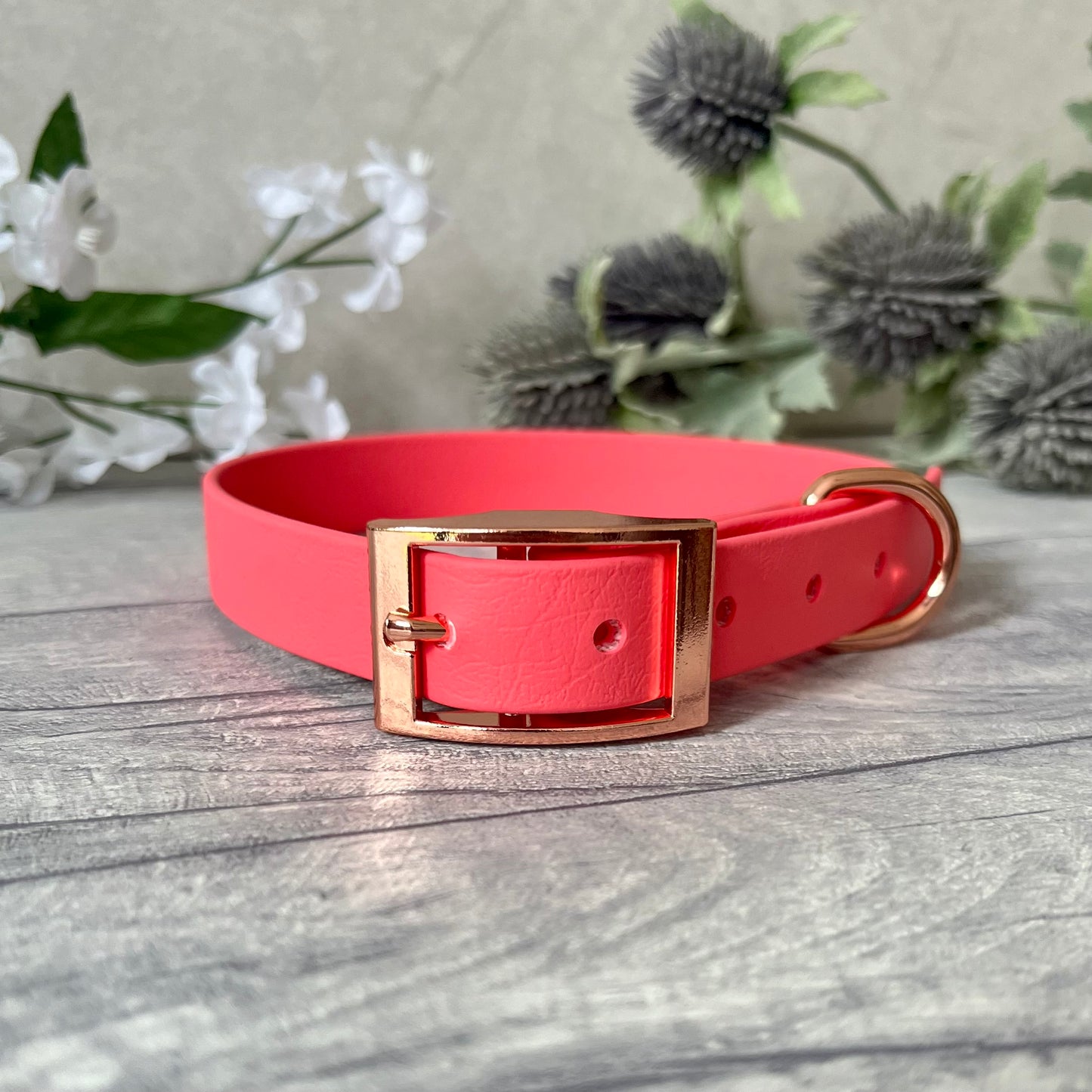 Coral Biothane dog collar with Rose Gold hardware. The collar is fastened with a buckle and has a d-ring. There are 5 punched holes spaced 2cm apart.