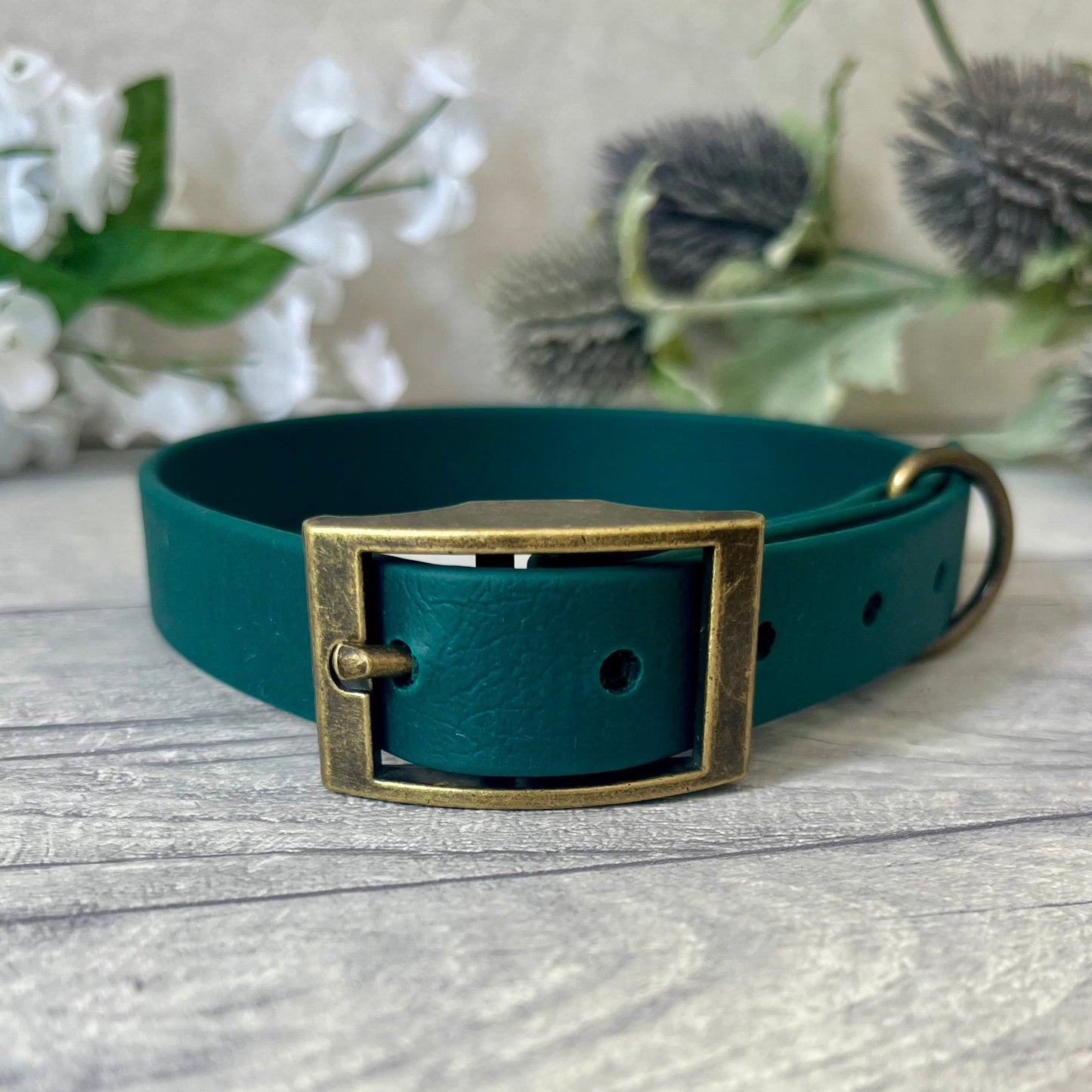 Dark Green Biothane dog collar with Antique Brass hardware. The collar is fastened with a buckle and has a d-ring. There are 5 punched holes spaced 2cm