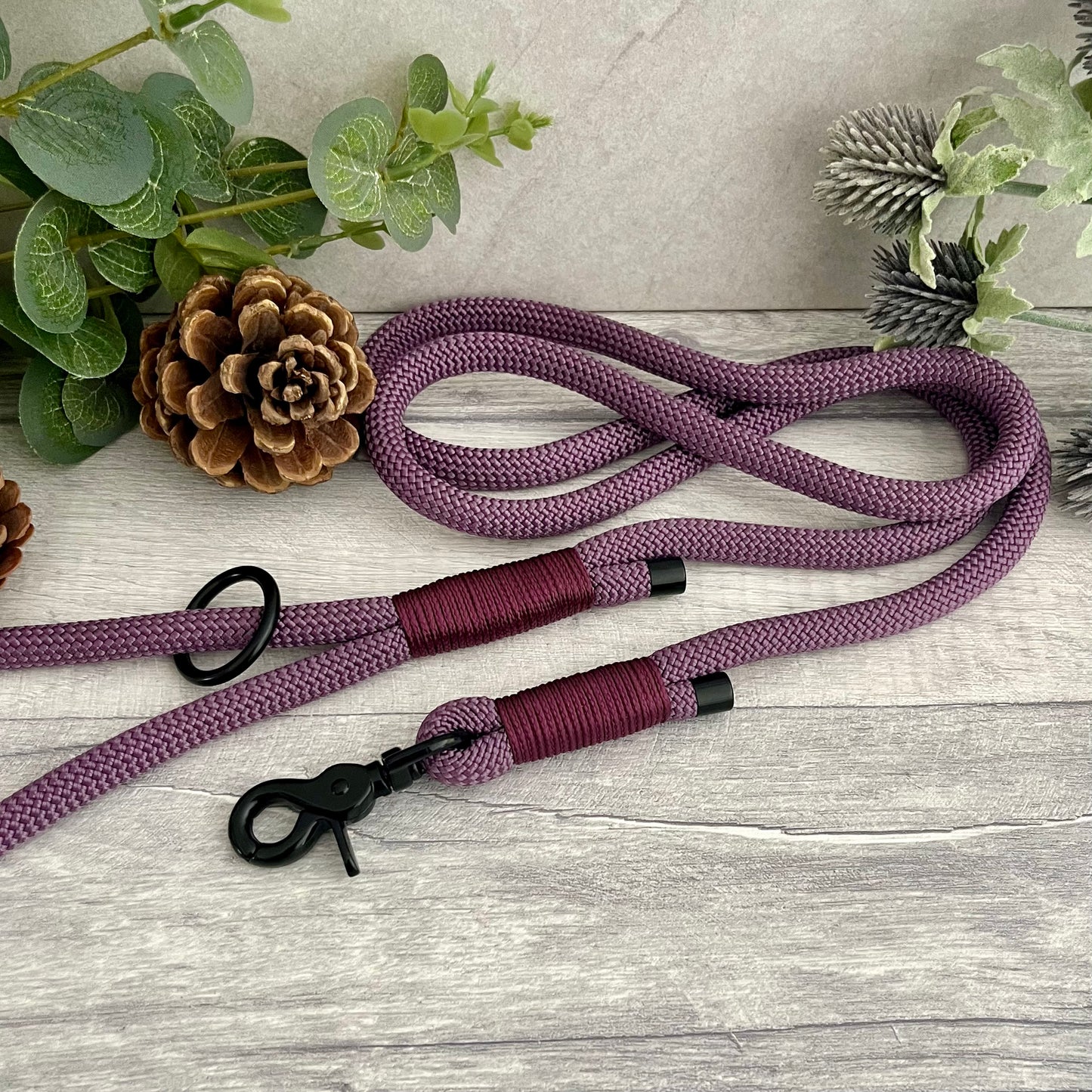 Mauve Paracord rope lead with Aubergine whipping securing each end together. At each end of the rope there is a metal end cap, a clip to connect to a collar at one end and a O-ring fixed to the handle. All hardware is Black