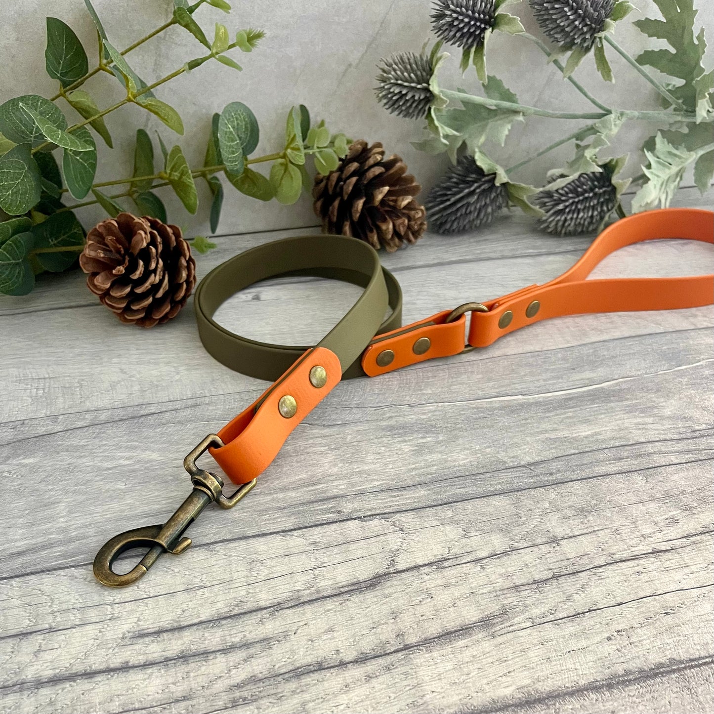 Two coloured Biothane dog lead. The handle and accent colour at the clip end of the lead is Burnt Orange, the mail lead colour is Military Olive giving the lead a two tone look. The hardware is Antique Brass