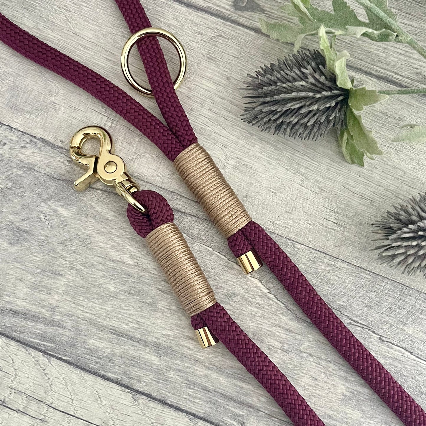 Aubergine Paracord rope lead with Light Gold whipping securing each end together. At each end of the rope there is a metal end cap, a clip to connect to a collar at one end and a O-ring fixed to the handle. All hardware is Gold