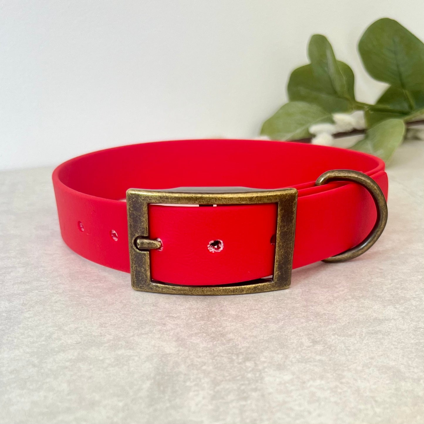 Biothane custom collar in Red with Antique Brass buckle and a D-ring. The collar has 5 holes which are spaced 2cm apart. Soft leather appearance