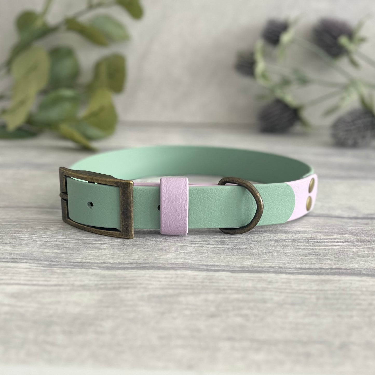 Sage Green & Lavender Two Tone BioThane® Dog Collar