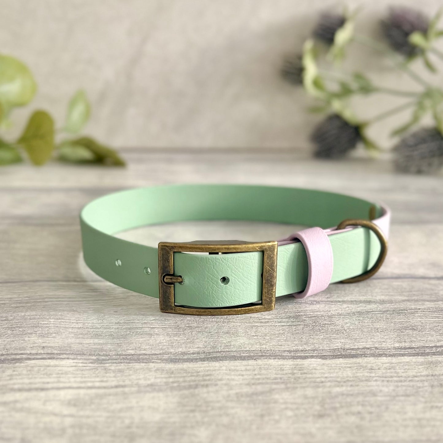 Sage Green & Lavender Two Tone BioThane® Dog Collar