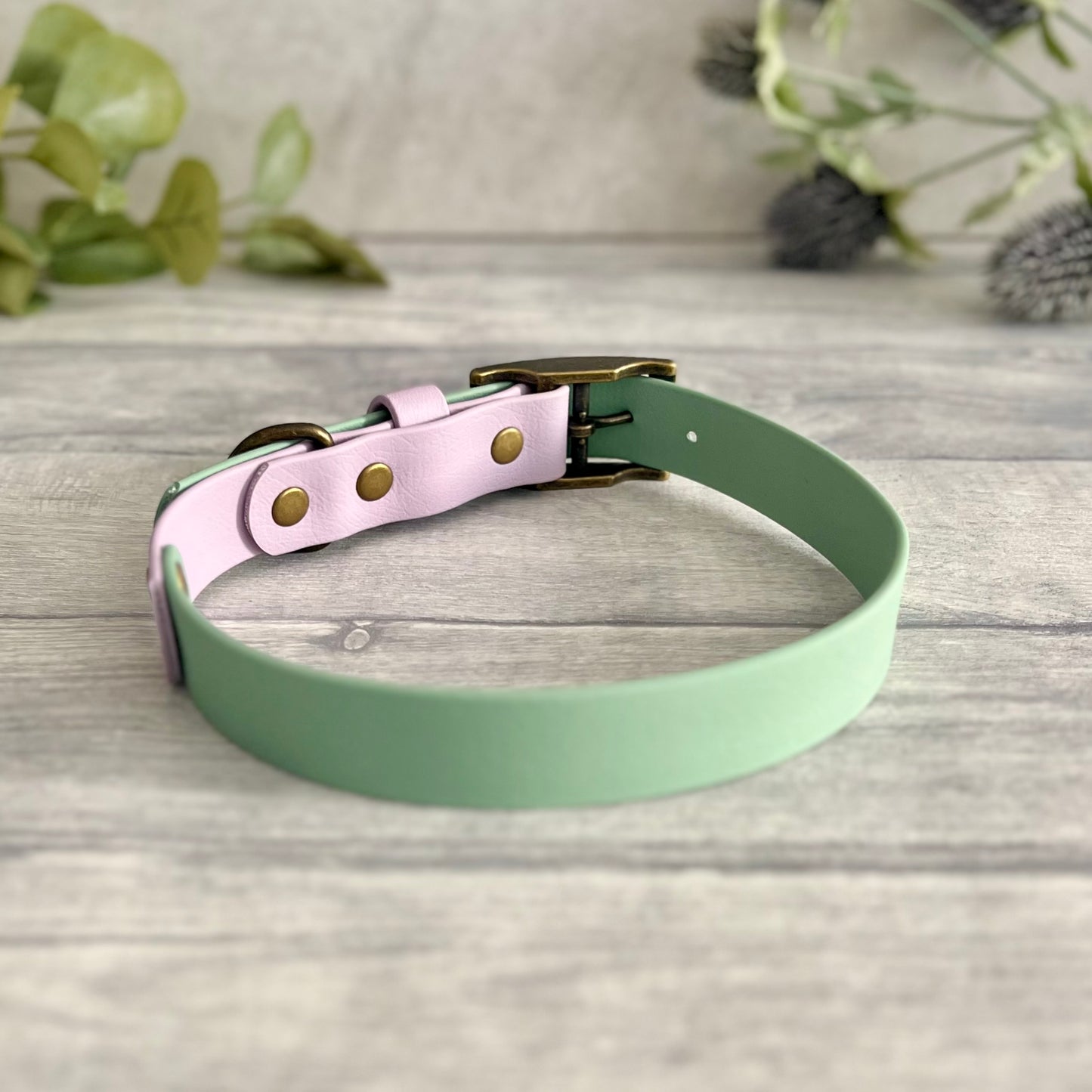 Sage Green & Lavender Two Tone BioThane® Dog Collar
