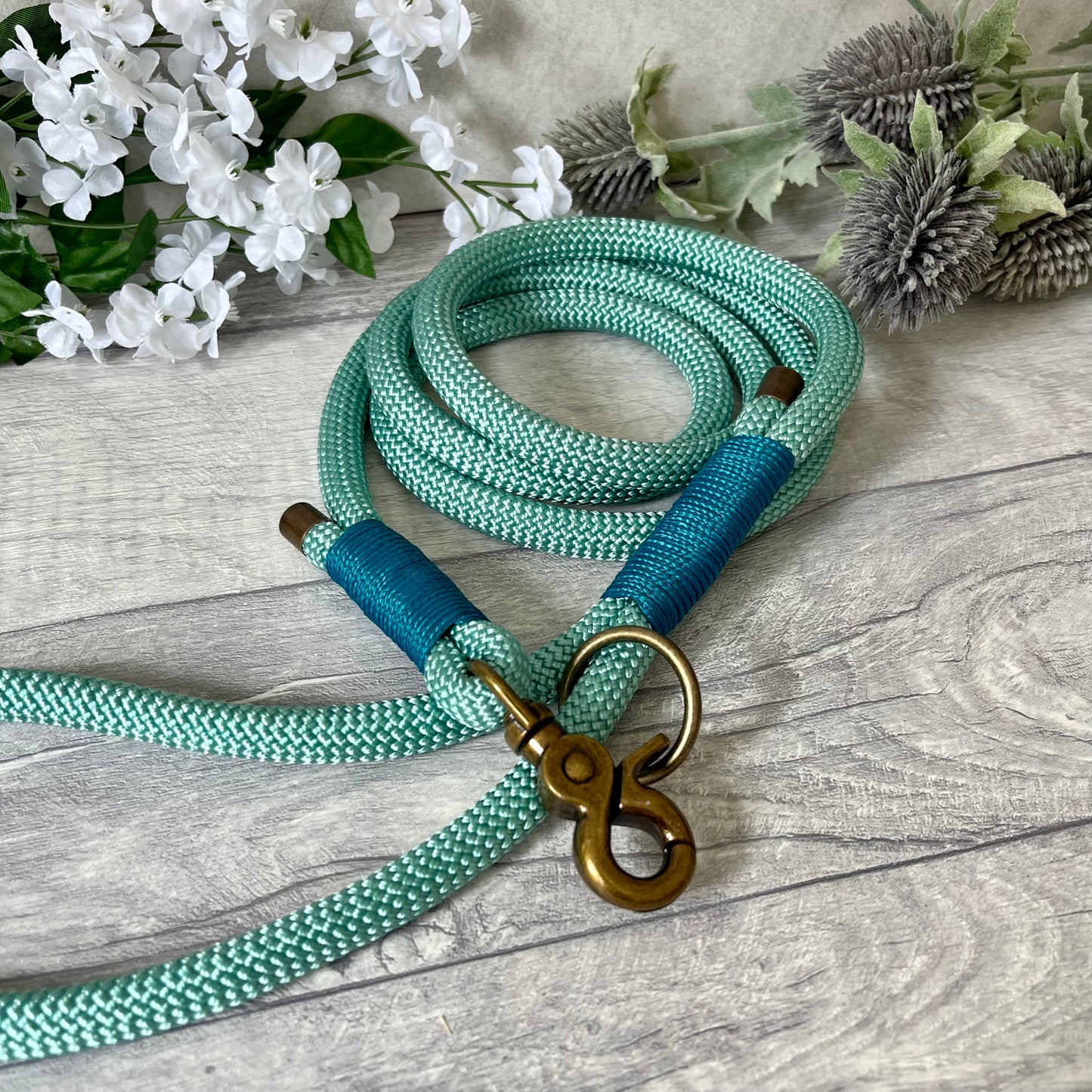 Sea Green rope lead with Aqua coloured whipping securing a swivel clip at one end and fastening a handle at the other. The handle has an O-ring attached. Each end of the rope is finished with a metal end cap. All hardware for this lead is in Antique Brass