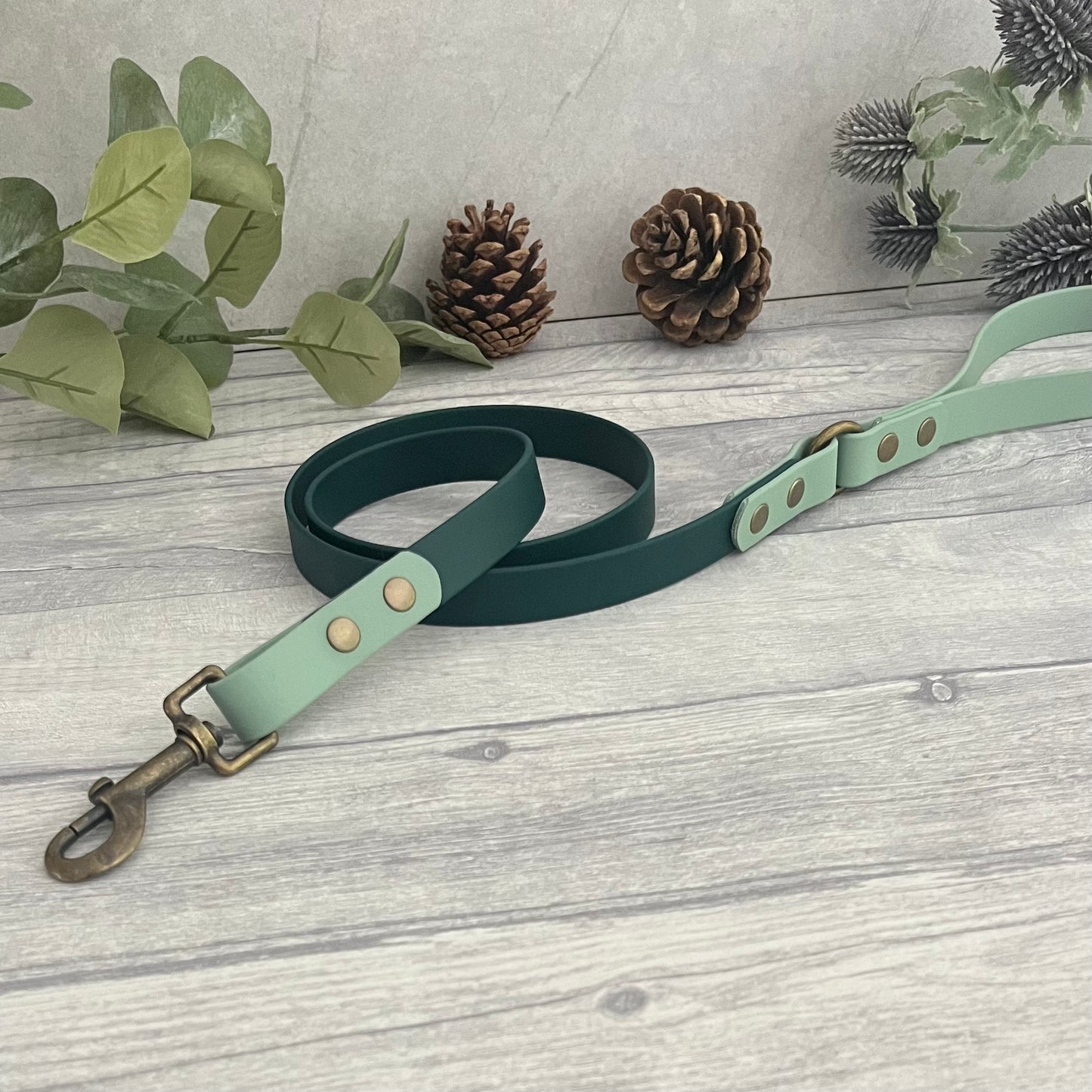 Two coloured Biothane dog lead. The handle and accent colour at the clip end of the lead is Sage Green, the mail lead colour is Dark Green, giving the lead a two tone look. The hardware is Antique Brass.