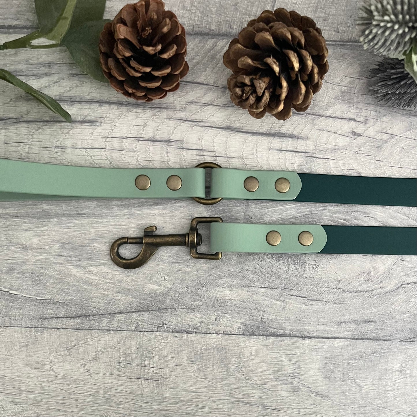 Two coloured Biothane dog lead. The handle and accent colour at the clip end of the lead is Sage Green, the mail lead colour is Dark Green, giving the lead a two tone look. The hardware is Antique Brass.