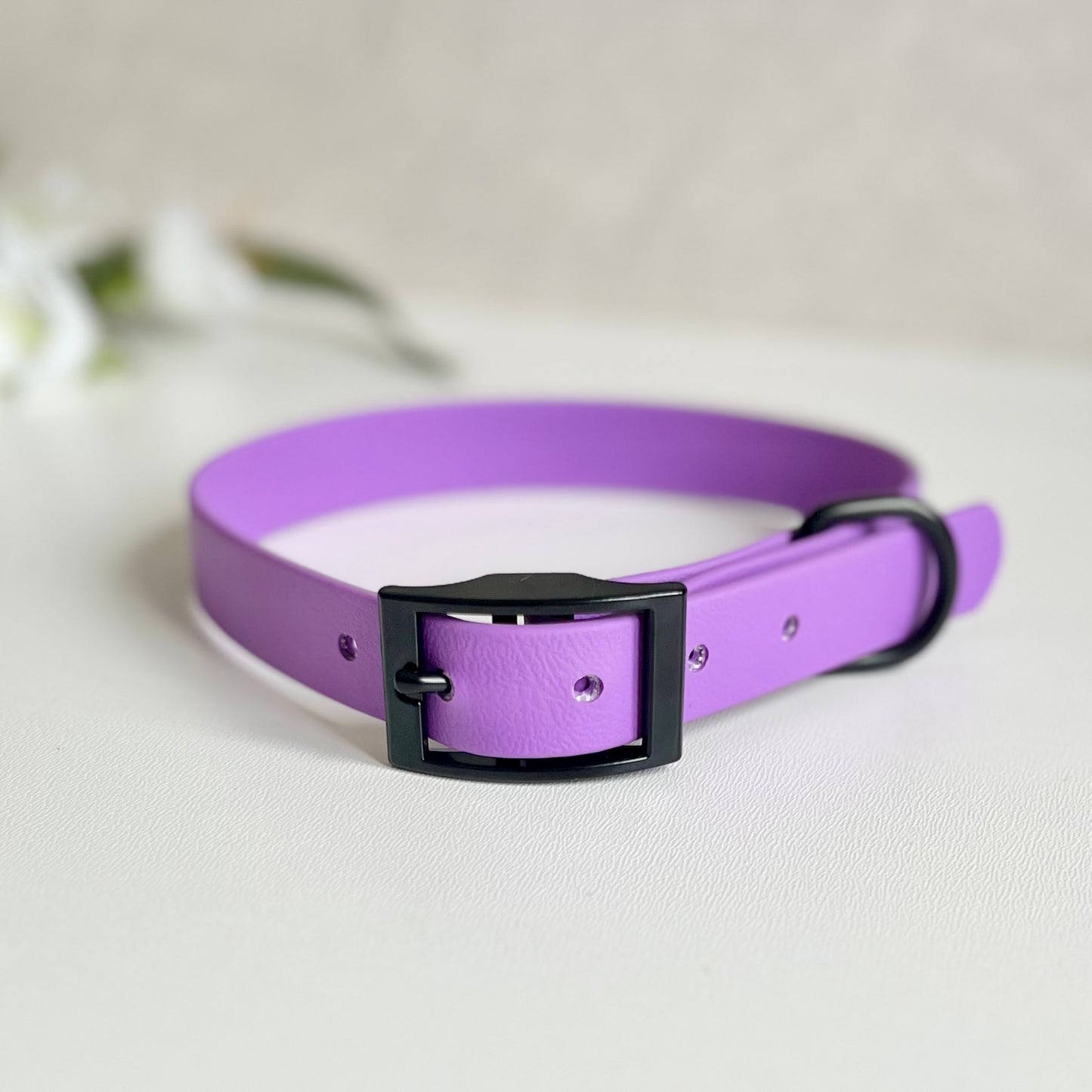 Amethyst purple dog collar with a black buckle on a light background