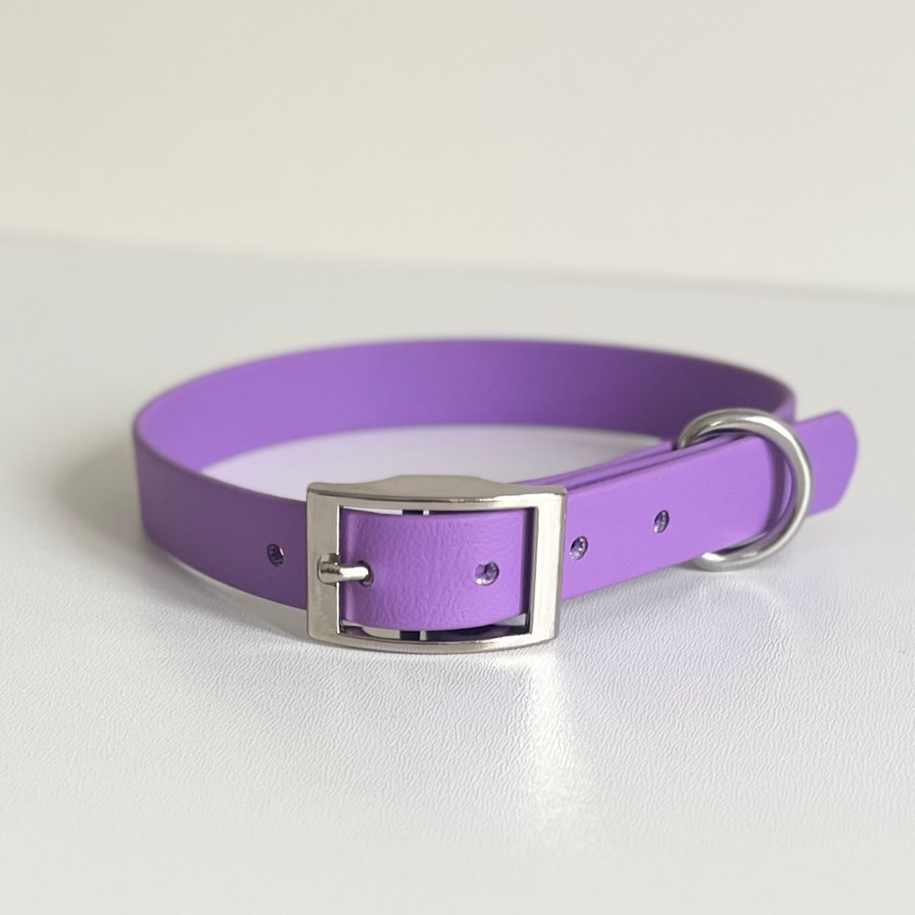 Amethyst purple Biothane dog collar with silver hardware