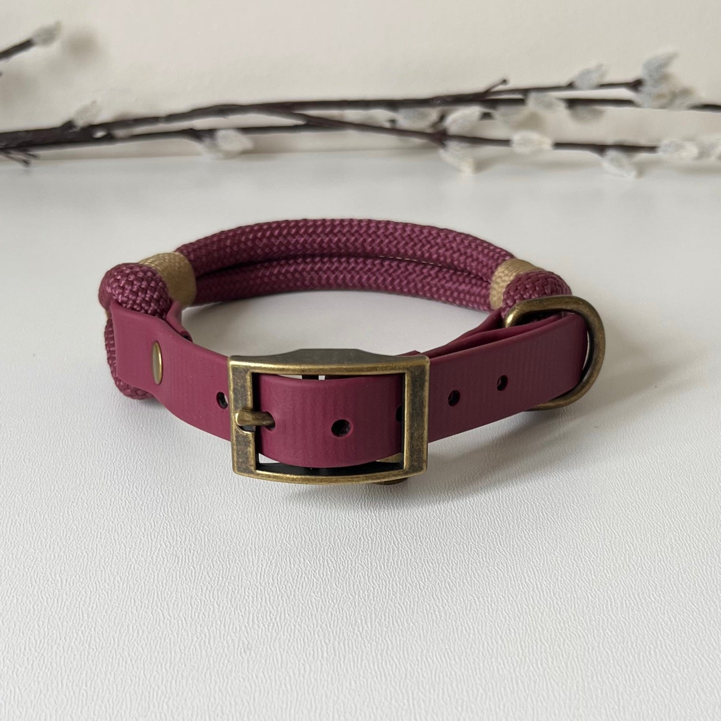 Purple rope dog collar with brass buckle on a white background