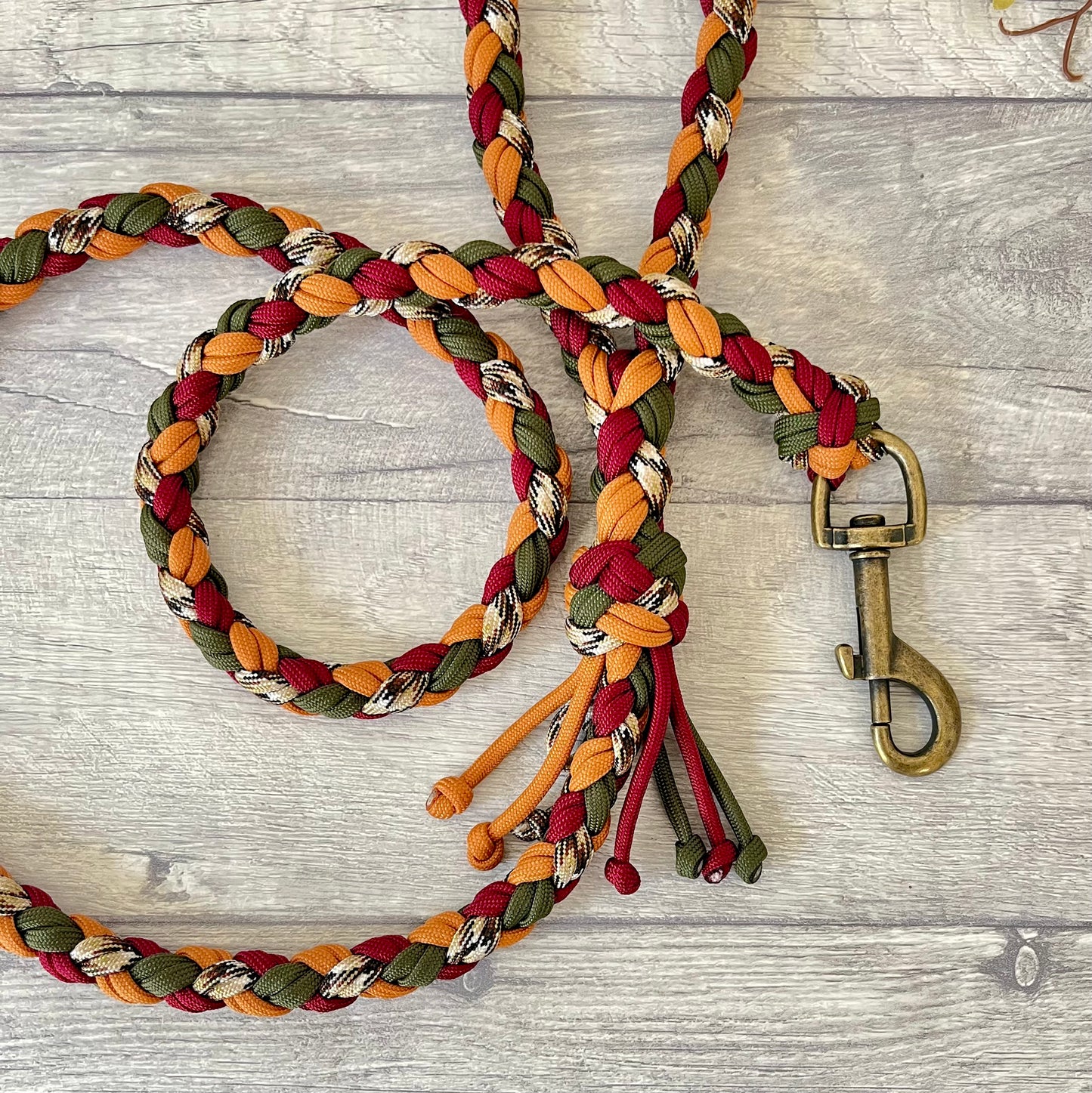 Autumn Blaze Braided Rope Dog Lead