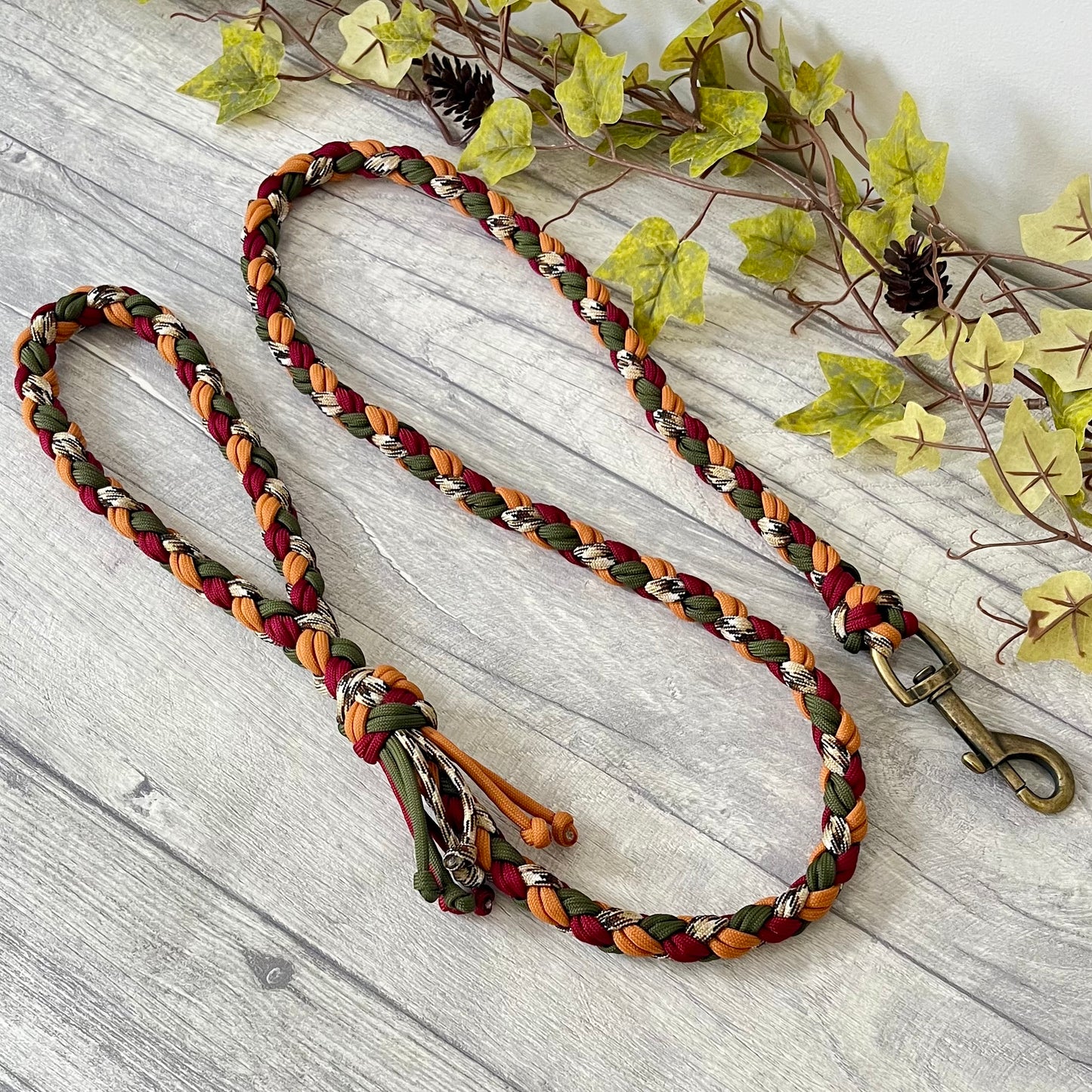 Autumn Blaze Braided Rope Dog Lead