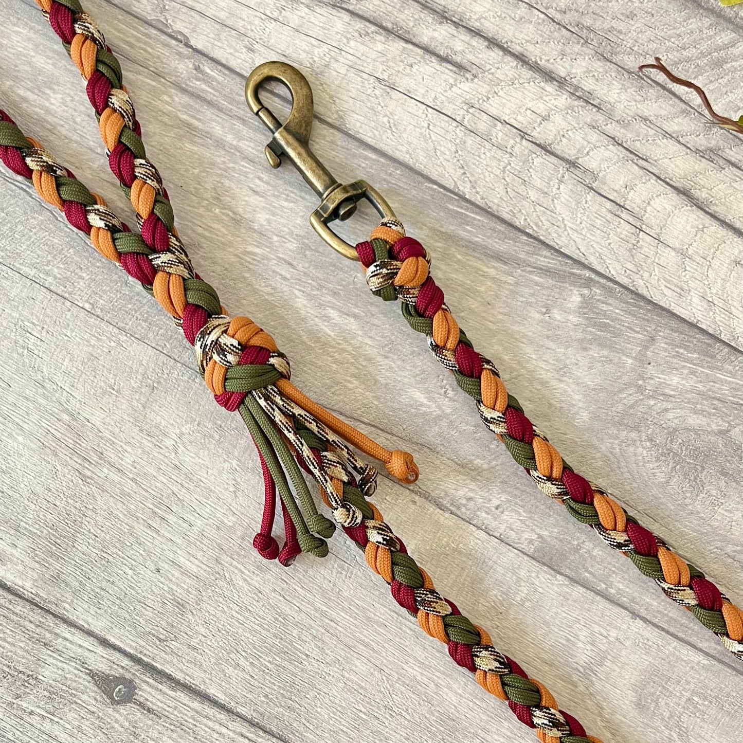 Autumn Blaze Braided Rope Dog Lead