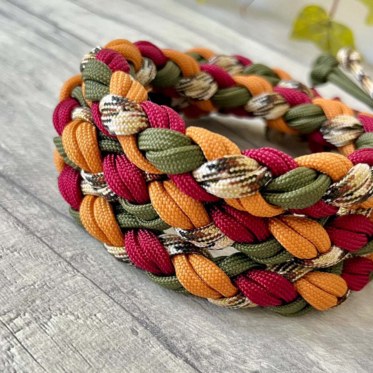 Autumn Blaze Braided Rope Dog Lead