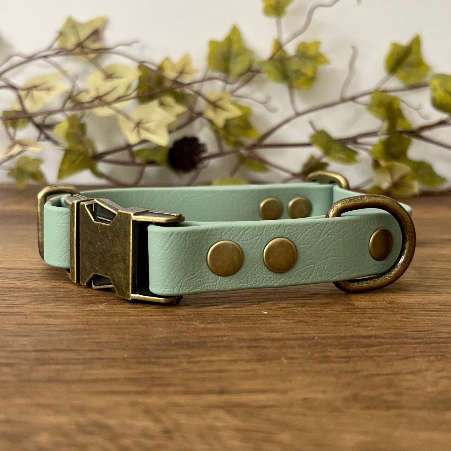 A quick release, adjustable dog collar. Made from Biothane in Sage Green, the collar is fastened with a metal quick release buckle, metal rivets with a metal strap keeper on one side with a D-ring on the other. All hardware is in Antique Brass