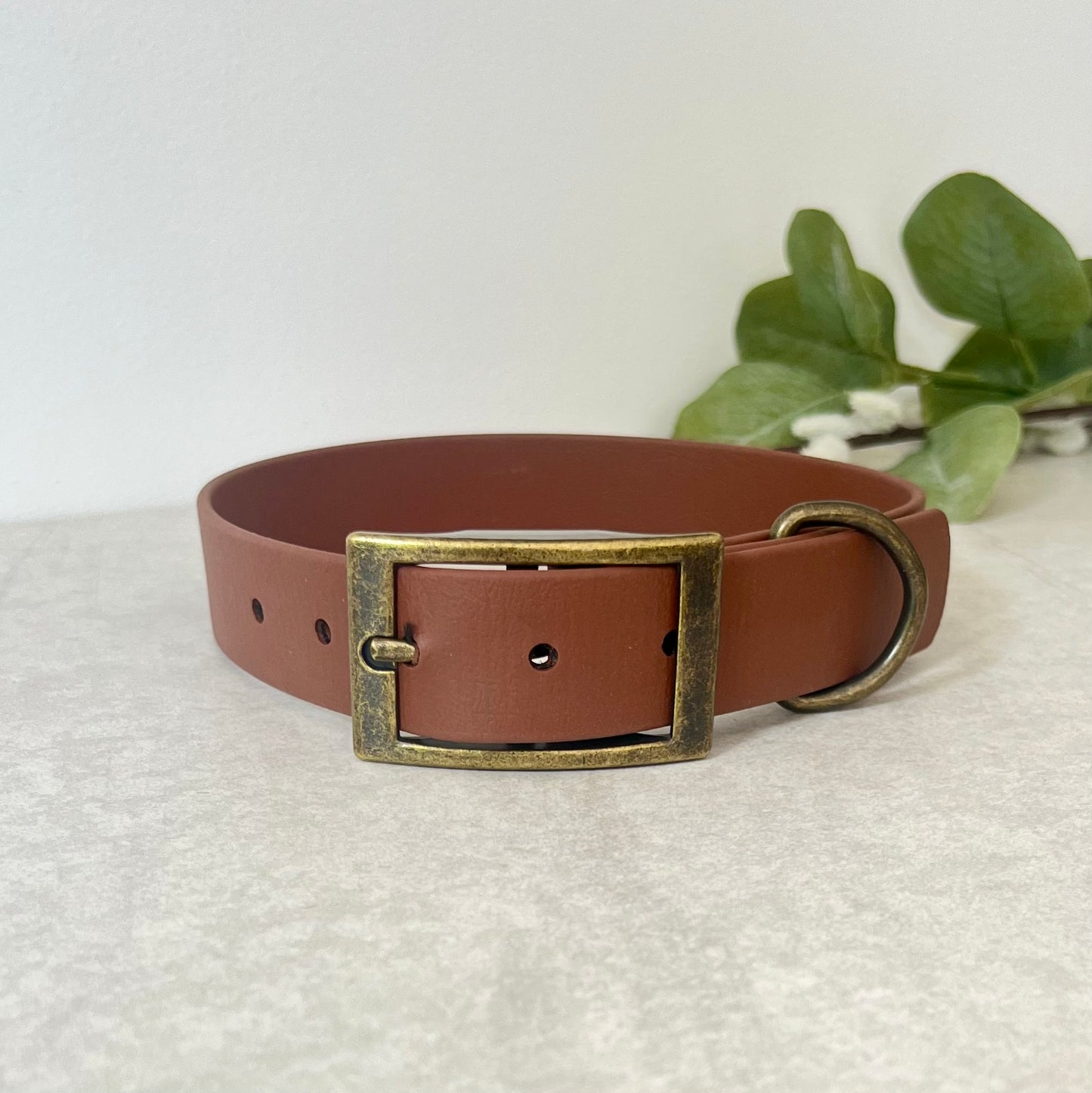 Biothane custom collar in Brown with Antique Brass buckle and a D-ring. The collar has 5 holes which are spaced 2cm apart. The collar is fastened on the first hole and has a soft leather appearance