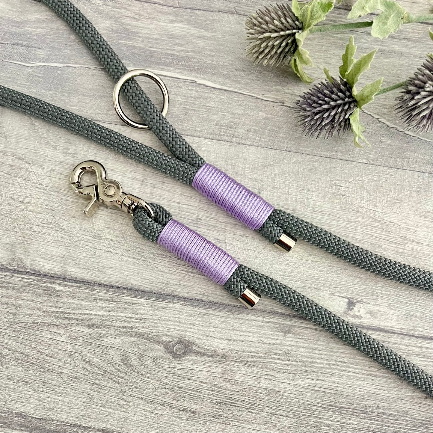 Gray rope leash with purple accents on a wooden surface with thistle flowers.