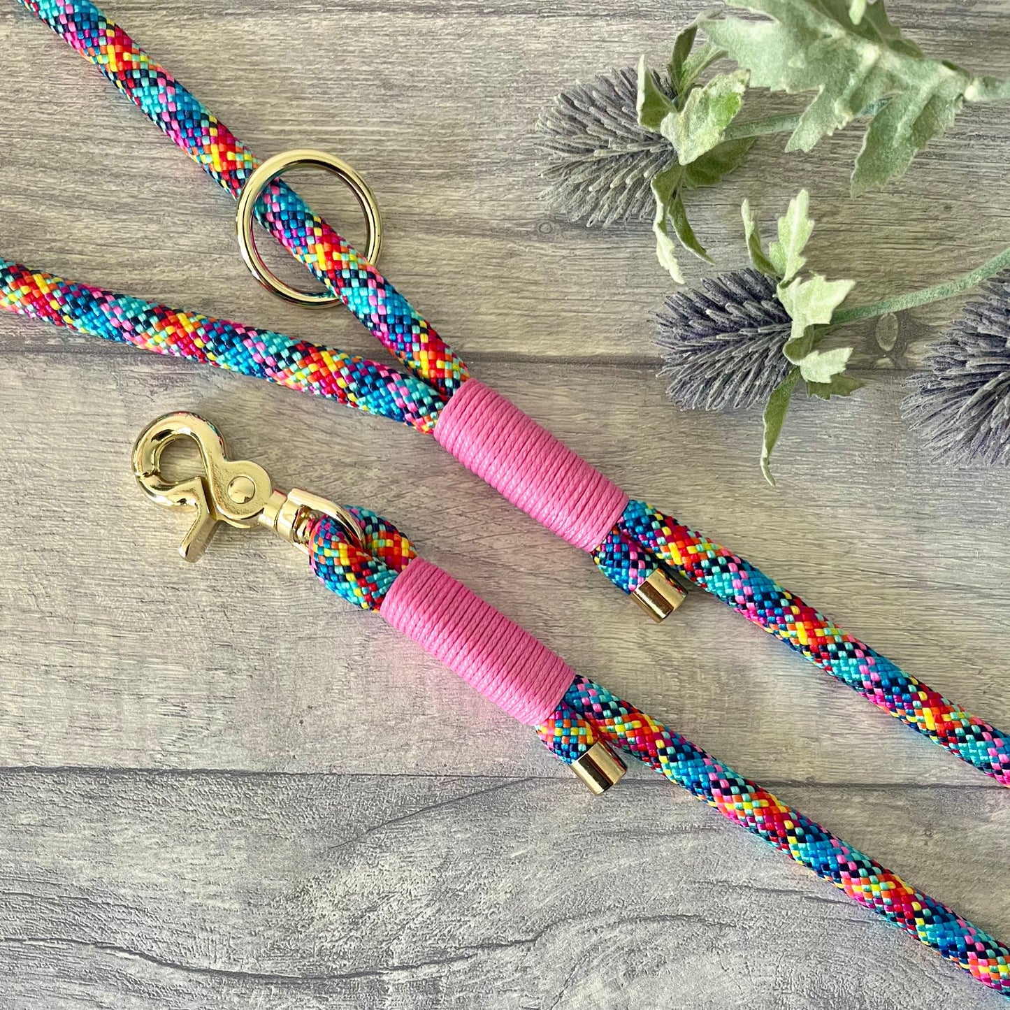 Confetti multi coloured rope lead with Rose Pink whipping securing a swivel clip at one end and fastening a handle at the other. The handle has an O-ring attached. Each end of the rope is finished with a metal end cap. All hardware for this lead is in Gold