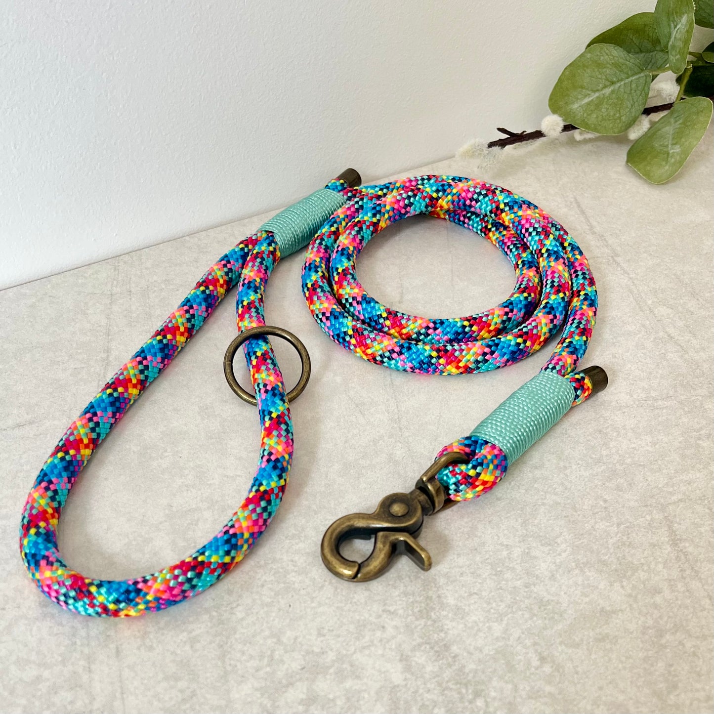Confetti multi coloured rope lead with Sea Green whipping securing a swivel clip at one end and fastening a handle at the other. The handle has an O-ring attached. Each end of the rope is finished with a metal end cap. All hardware for this lead is in Antique Brass