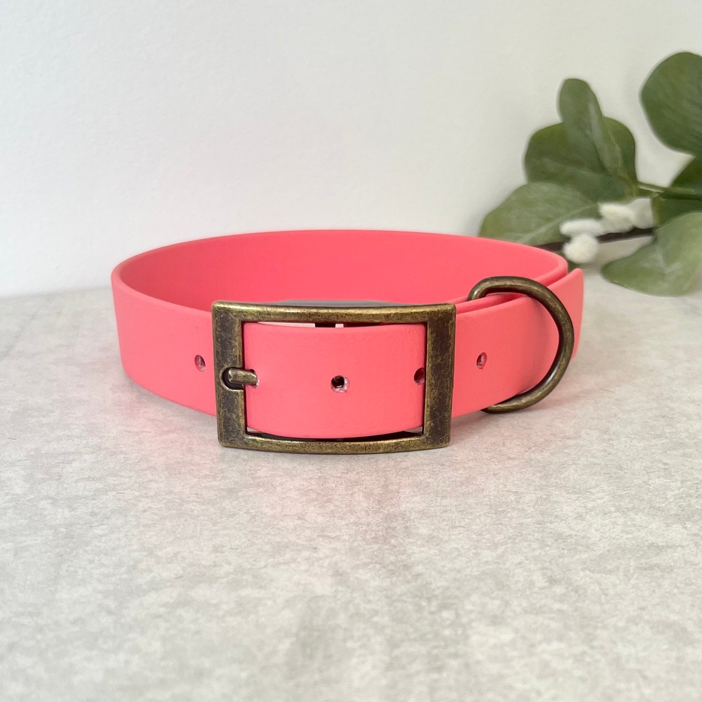 Coral Biothane dog collar with Antique Brass hardware. The collar is fastened with a buckle and has a d-ring. There are 5 punched holes spaced 2cm apart.