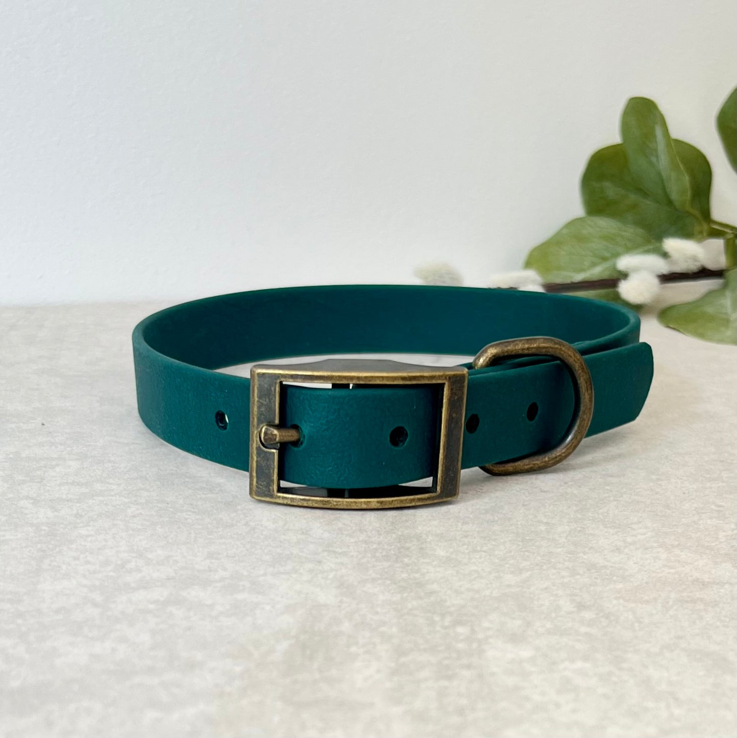 Dark Green Biothane dog collar with Antique Brass hardware. The collar is fastened with a buckle and has a d-ring. There are 5 punched holes spaced 2cm