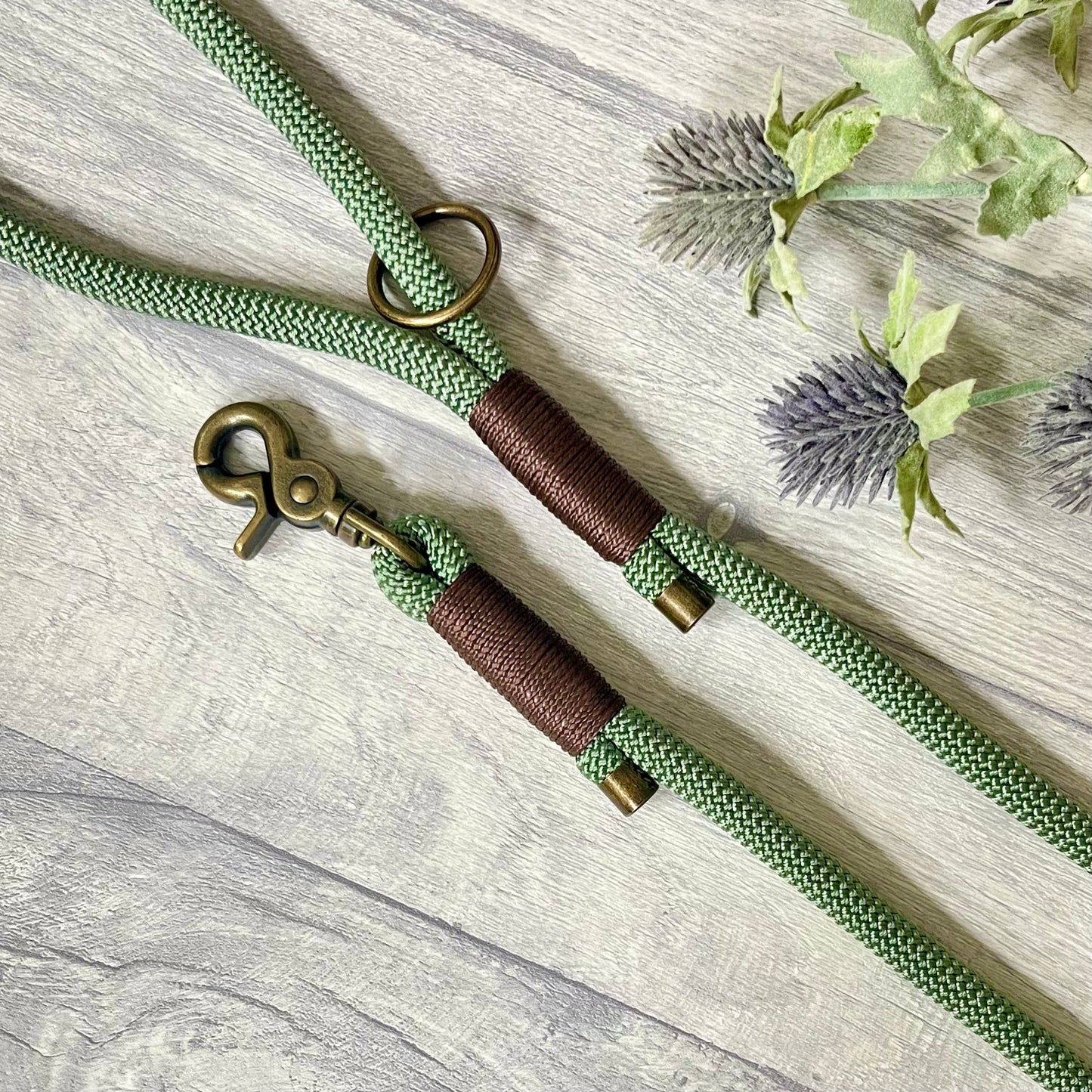 Foggy Green Paracord rope lead with Brown whipping securing each end together. At each end of the rope there is a metal end cap, a clip to connect to a collar at one end and a O-ring fixed to the handle. All hardware is Antique Brass