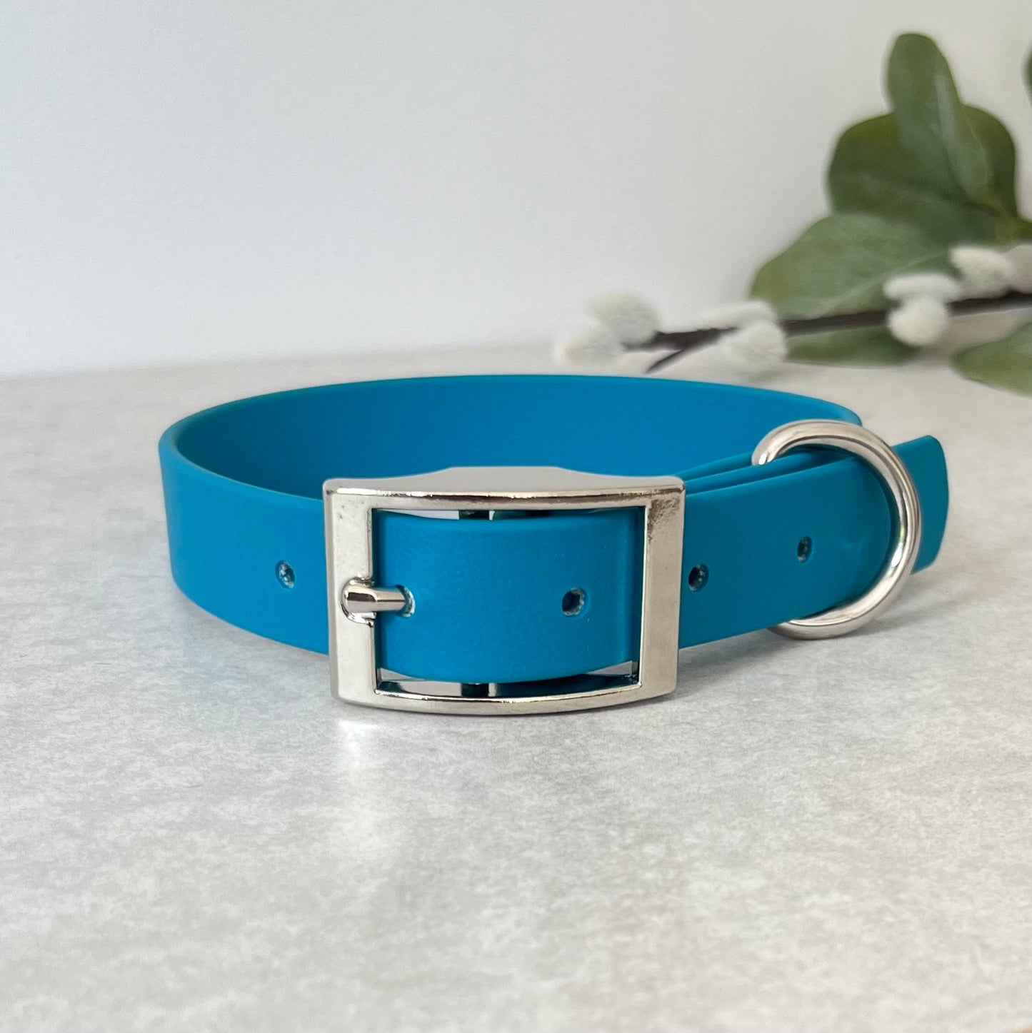 Biothane custom collar in Lagoon Blue with Silver buckle and aD-ring. The collar has 5 holes which are spaced 2cm apart. Soft leather appearance