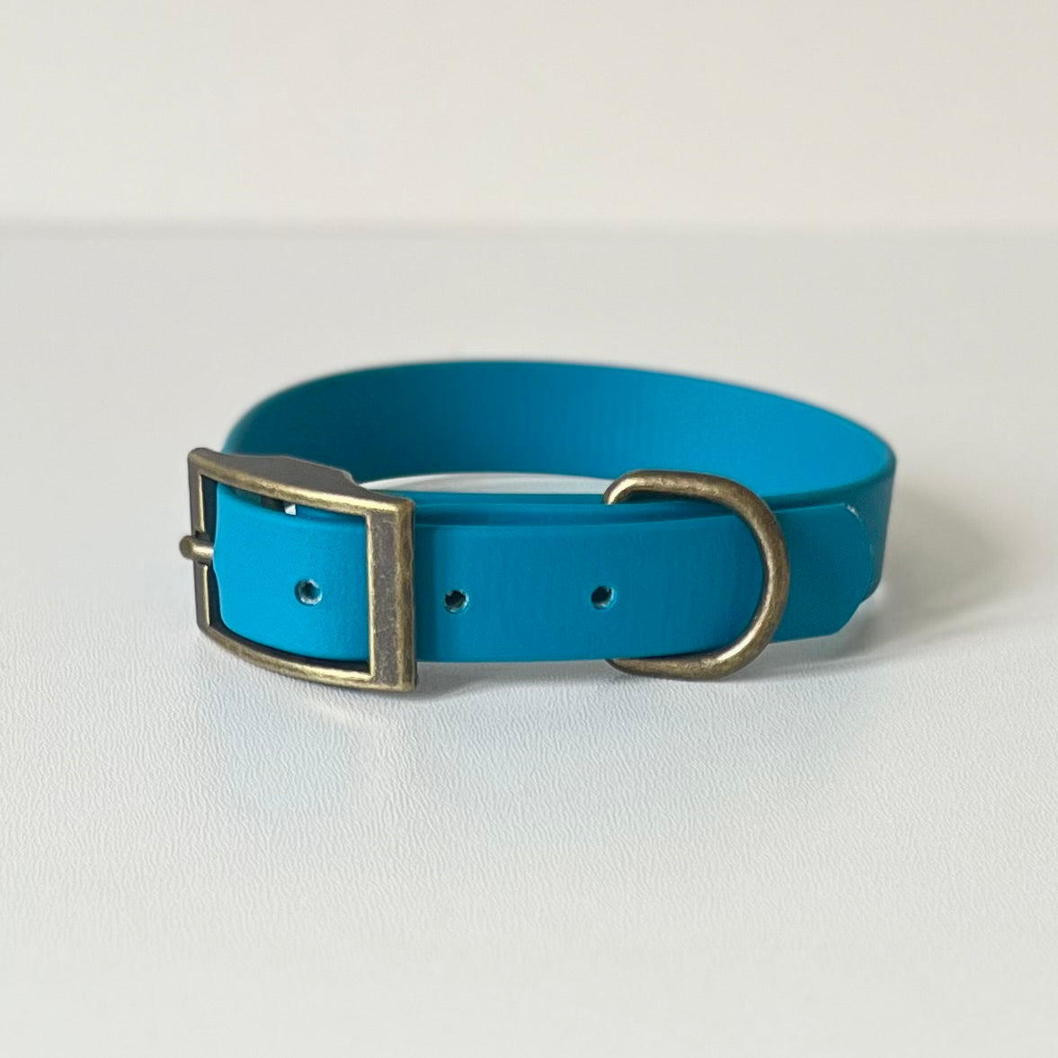 Lagoon Blue Biothane collar with antique brass hardware