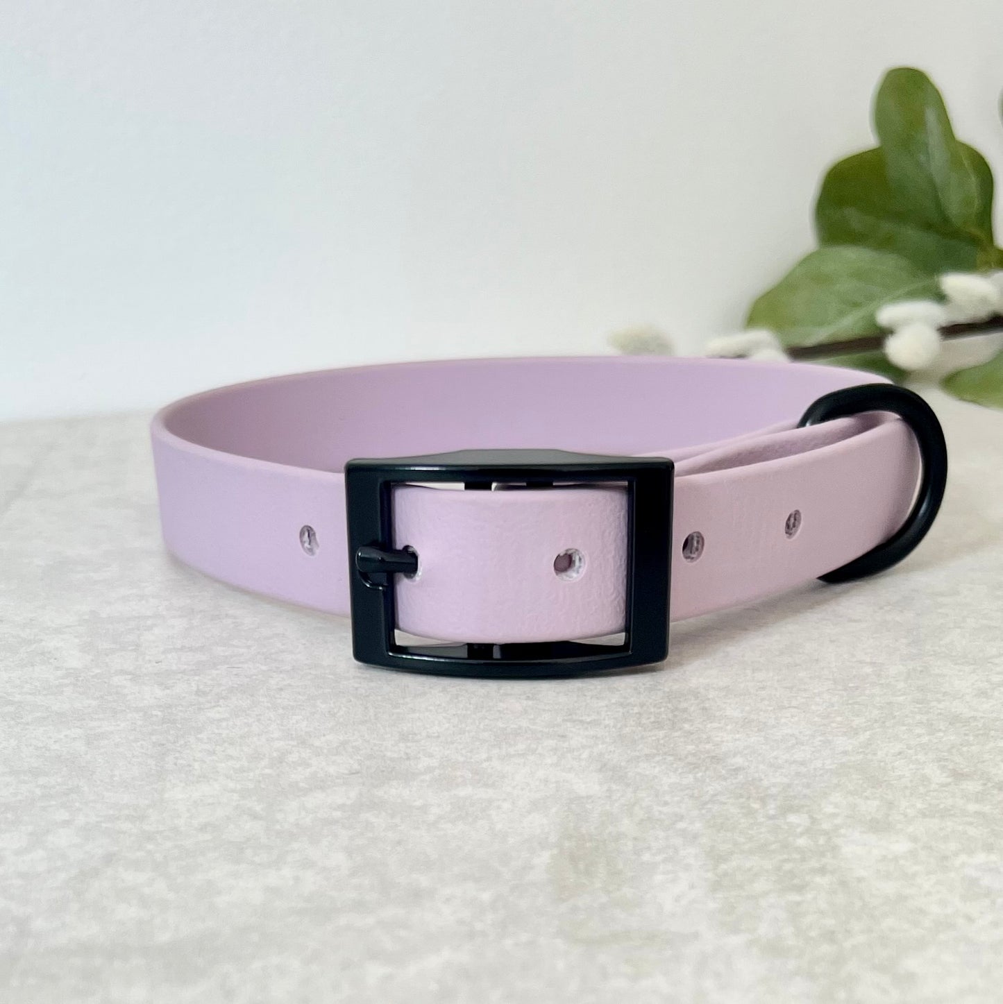 Lavender Biothane dog collar with Black hardware. The collar is fastened with a buckle and has a d-ring. There are 5 punched holes spaced 2cm apart.