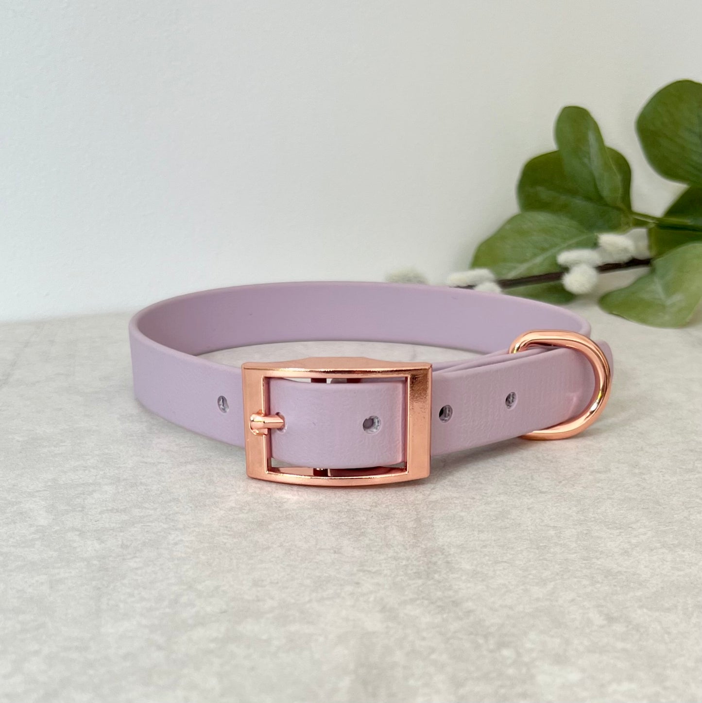 Lavender Biothane dog collar with Rose Gold hardware. The collar is fastened with a buckle and has a d-ring. There are 5 punched holes spaced 2cm apart.