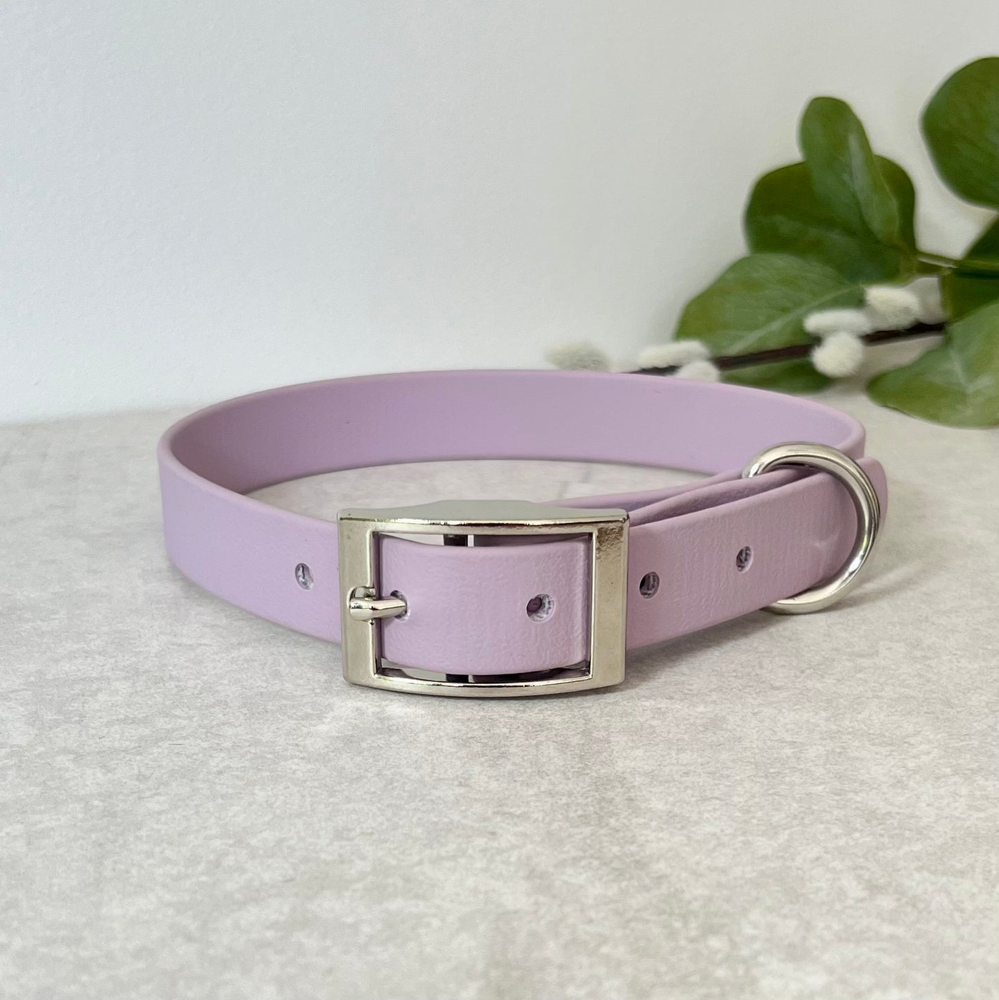 Lavender Biothane dog collar with Silver hardware. The collar is fastened with a buckle and has a d-ring. There are 5 punched holes spaced 2cm apart.