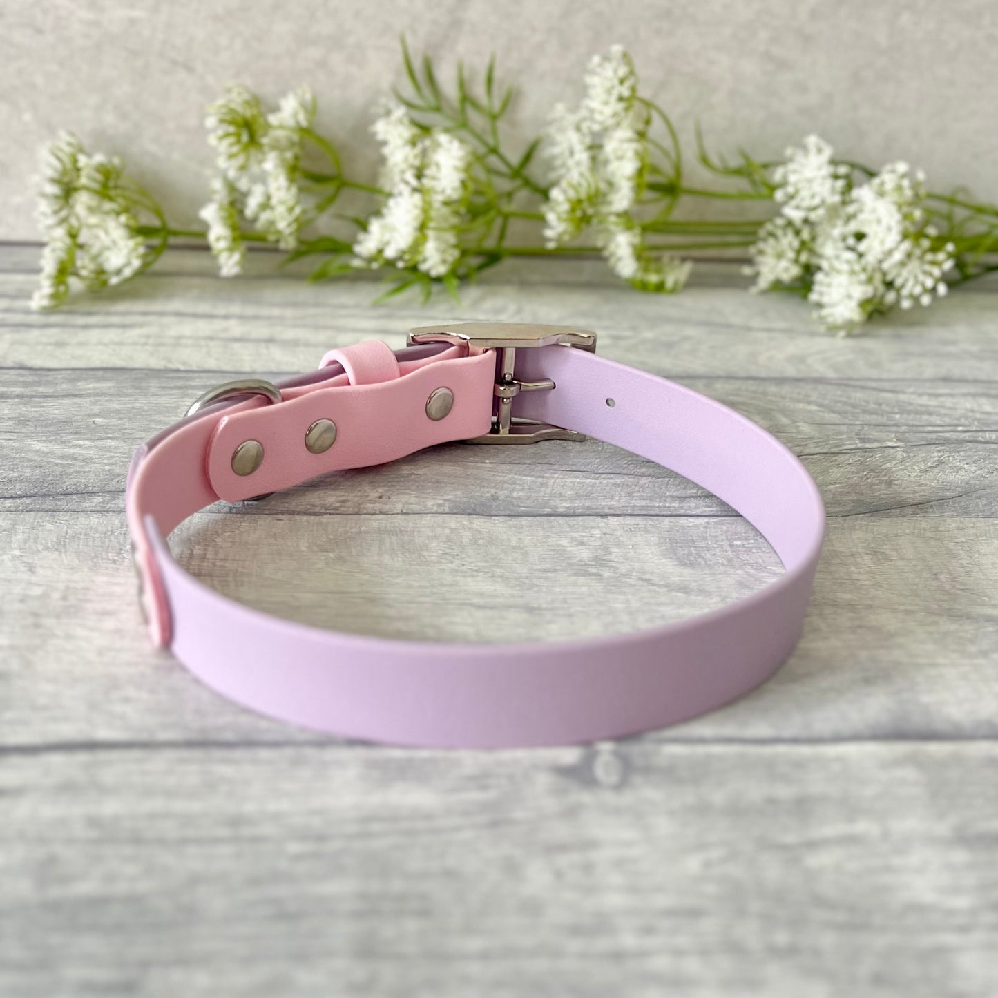 Two tone dog collar in Lavender & Light Pink. The collar strap is two colours fixed together with a rivet. The collar has a Biothane strap keeper and a metal D-ring with 5 x punched holes. All hardware is Silver