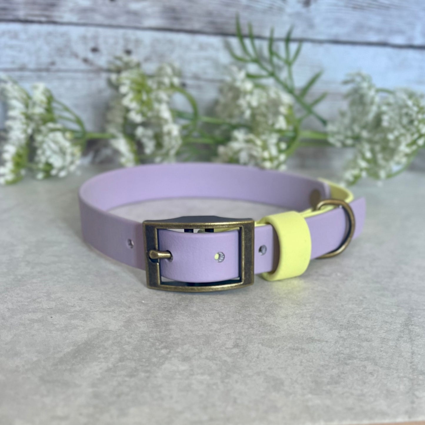 Two tone dog collar in Lavender & Yellow. The collar strap is two colours fixed together with a rivet. The collar has a Biothane strap keeper and a metal D-ring with 5 x punched holes. All hardware is Antique Brass