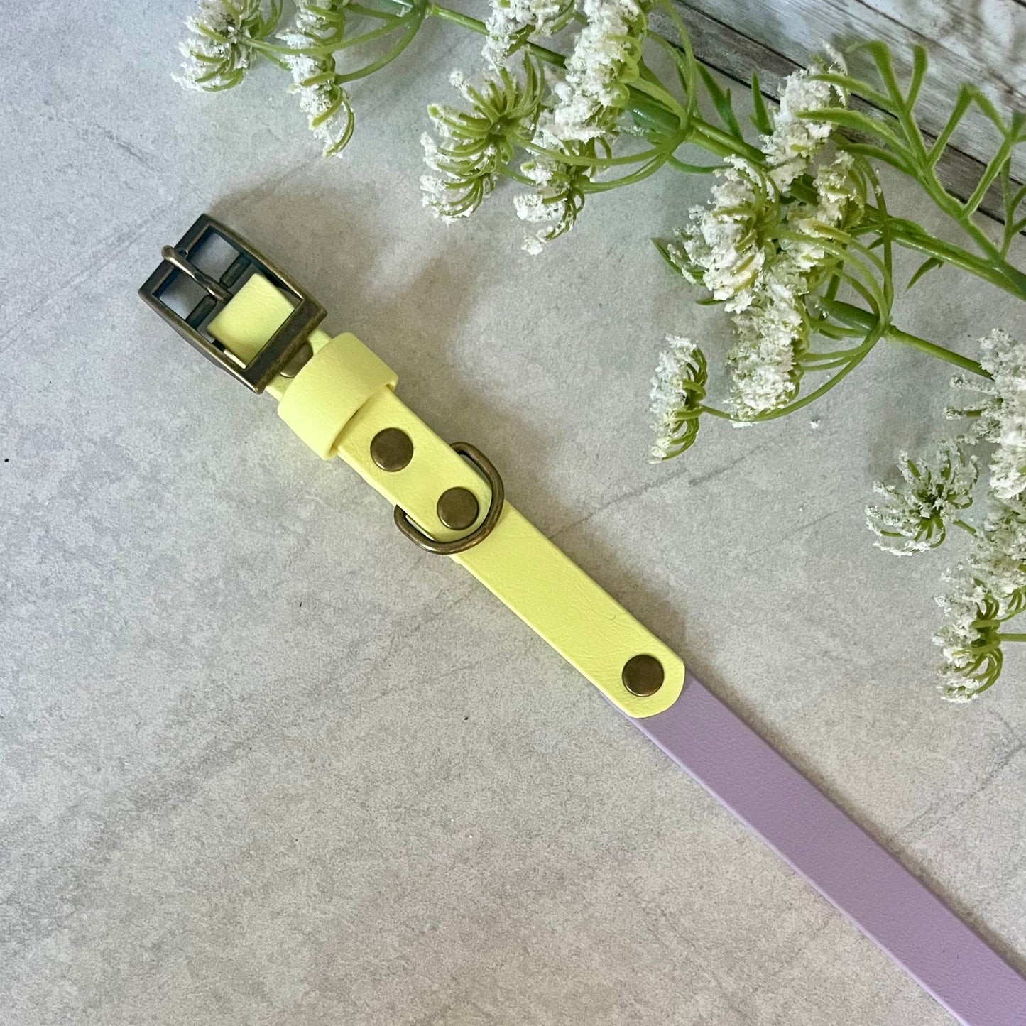 Two tone dog collar in Lavender & Yellow. The collar strap is two colours fixed together with a rivet. The collar has a Biothane strap keeper and a metal D-ring with 5 x punched holes. All hardware is Antique Brass