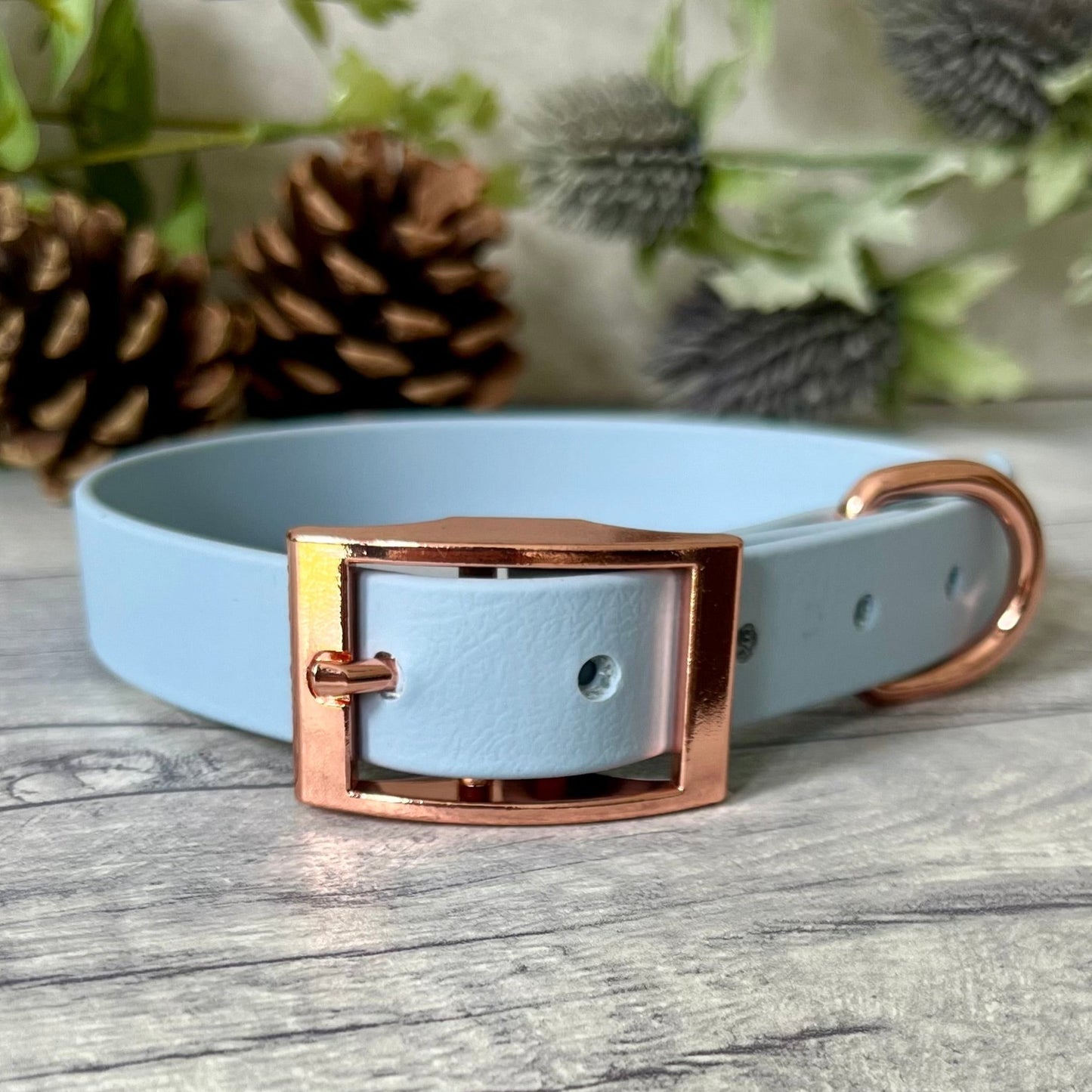Pastel Blue Biothane dog collar with Rose Gold hardware. The collar is fastened with a buckle and has a d-ring. There are 5 punched holes spaced 2cm apart.