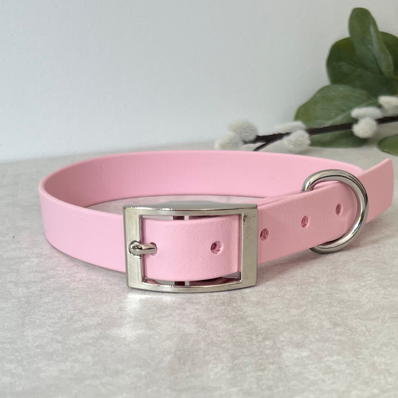 Pink collar with Silver buckle and D-ring. The collar is fastened and has 5 punched holes spaced 2cm apart