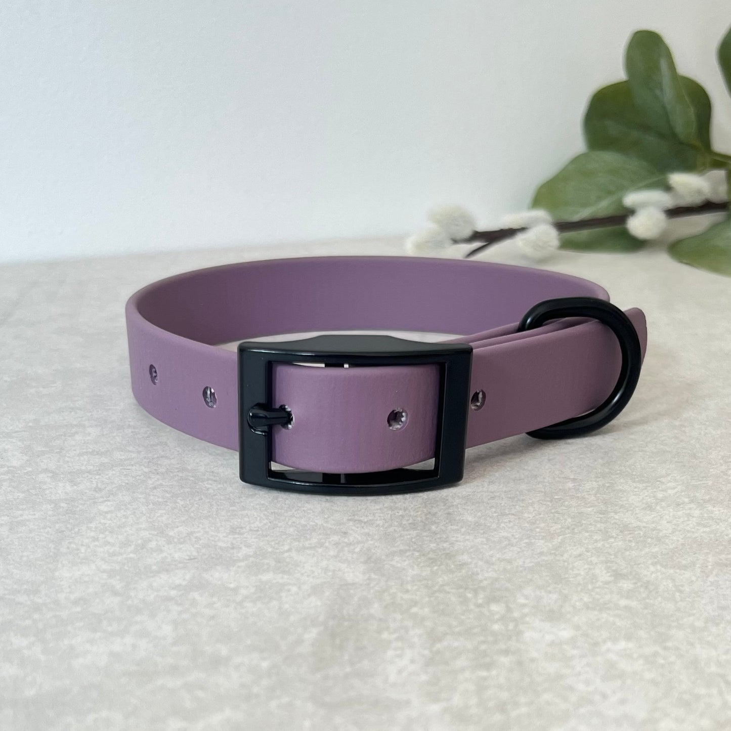Mauve Biothane dog collar with Black hardware. The collar is fastened with a buckle and has a d-ring. There are 5 punched holes spaced 2cm apart.