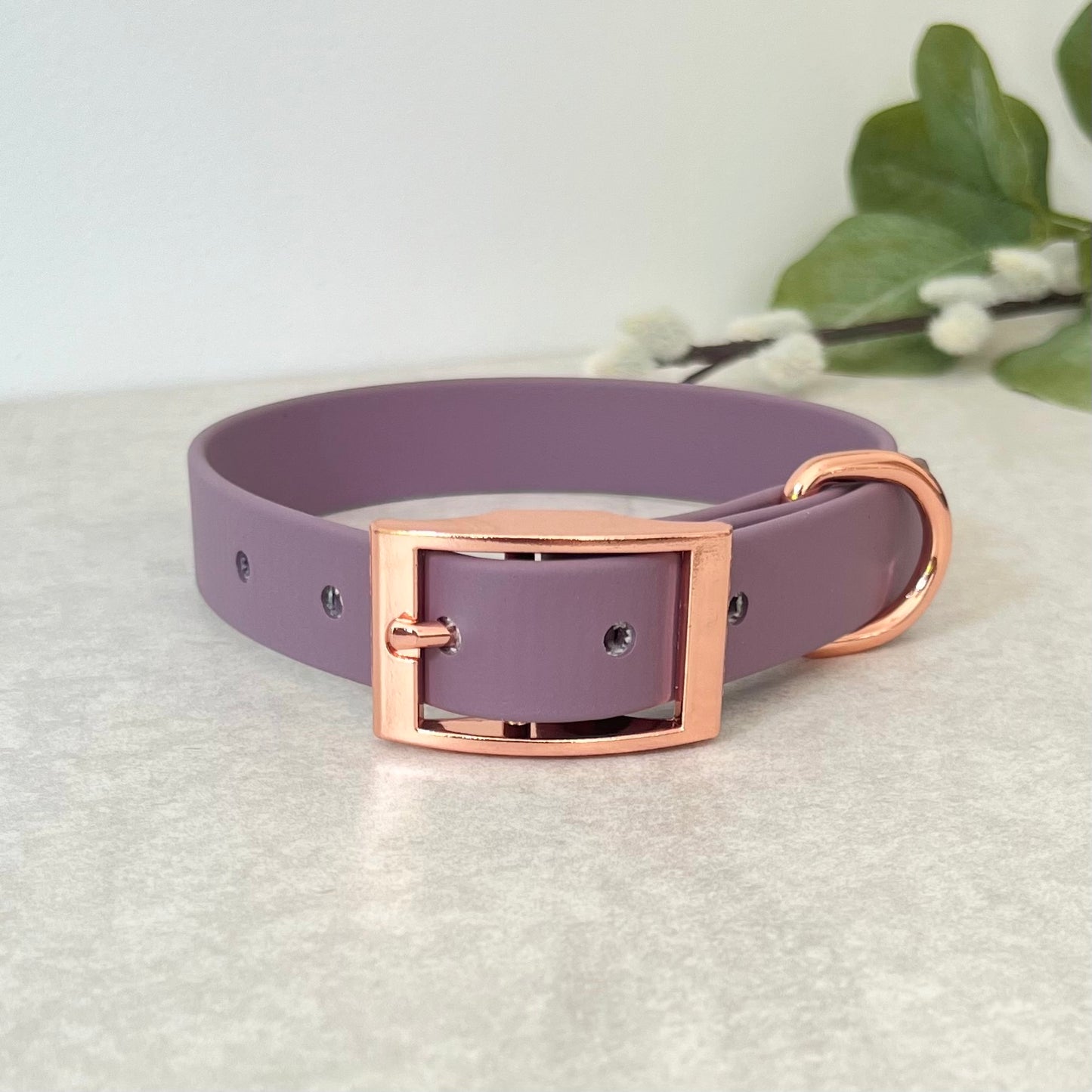 Mauve Biothane dog collar with Rose Gold hardware. The collar is fastened with a buckle and has a d-ring. There are 5 punched holes spaced 2cm apart.