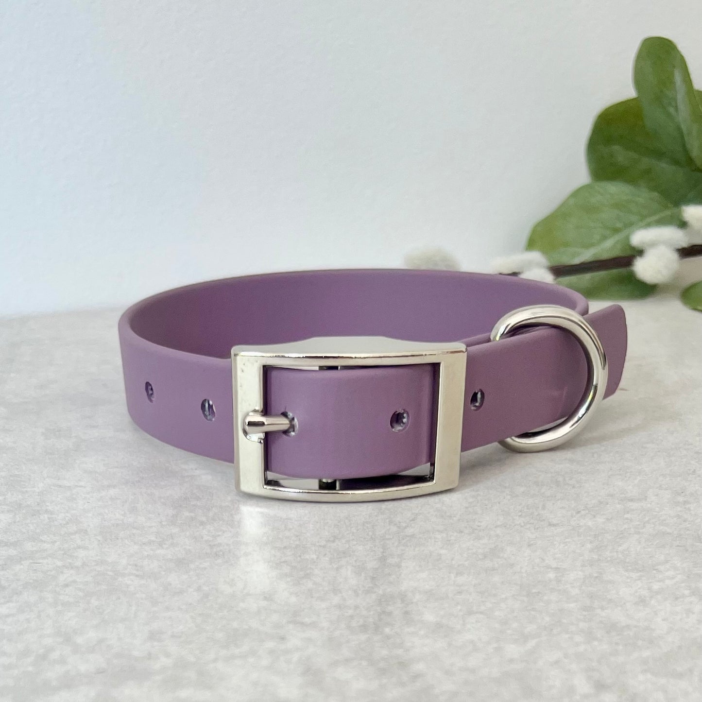 Mauve Biothane dog collar with Silver hardware. The collar is fastened with a buckle and has a d-ring. There are 5 punched holes spaced 2cm apart.