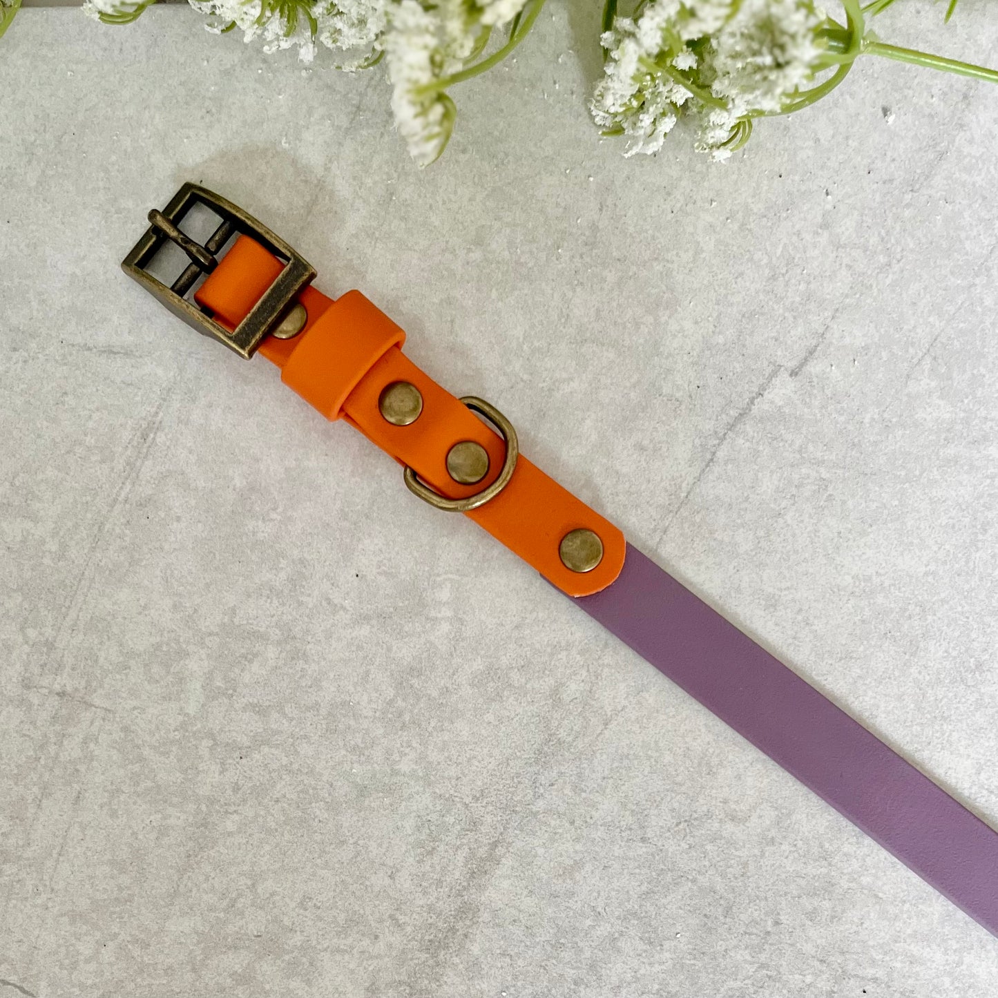 Two tone dog collar in Mauve and Orange. The collar strap is two colours fixed together with a rivet. The collar has a Biothane strap keeper and a metal D-ring with 5 x punched holes. All hardware is Antique Brass
