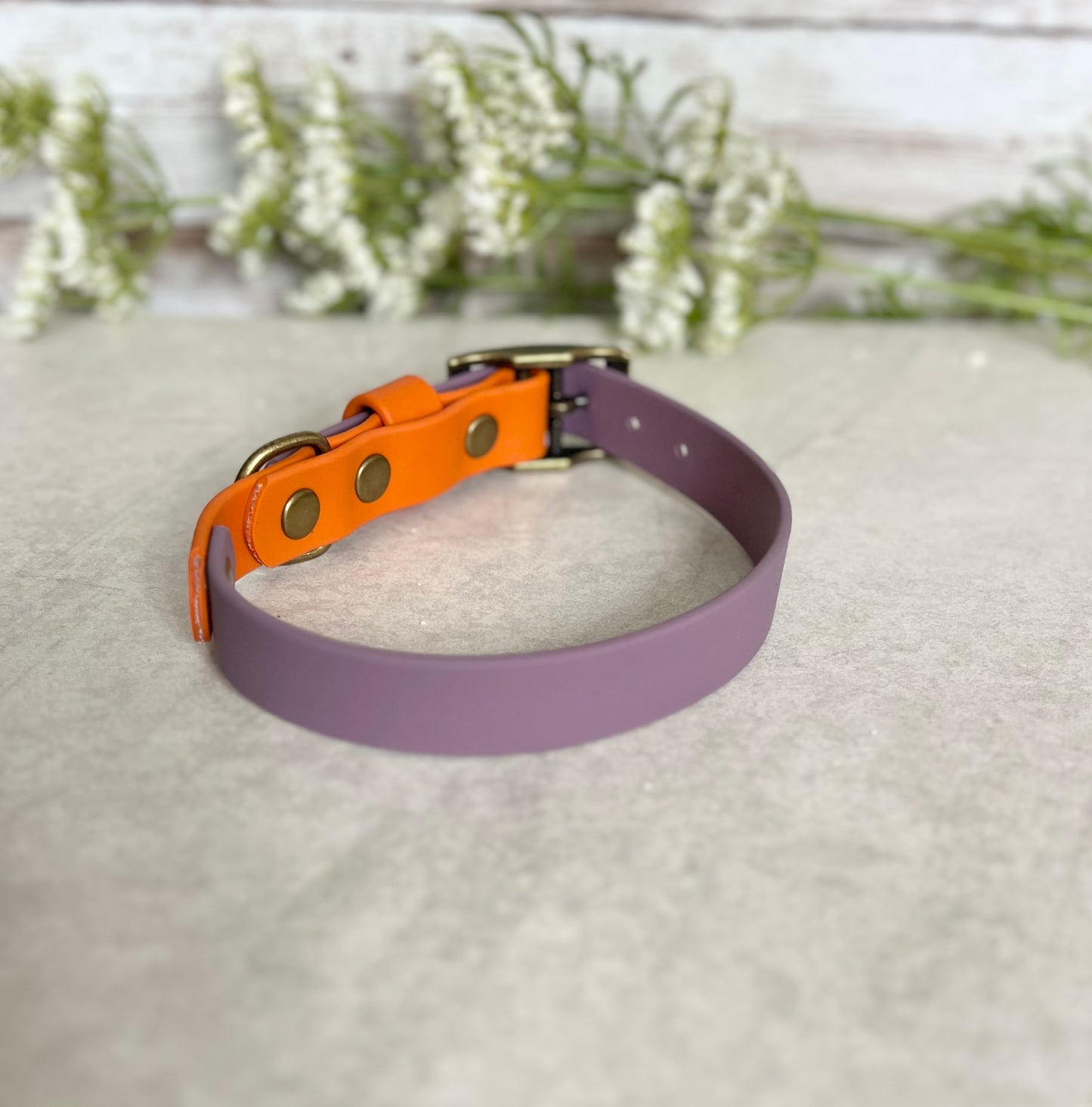 Two tone dog collar in Mauve and Orange. The collar strap is two colours fixed together with a rivet. The collar has a Biothane strap keeper and a metal D-ring with 5 x punched holes. All hardware is Antique Brass