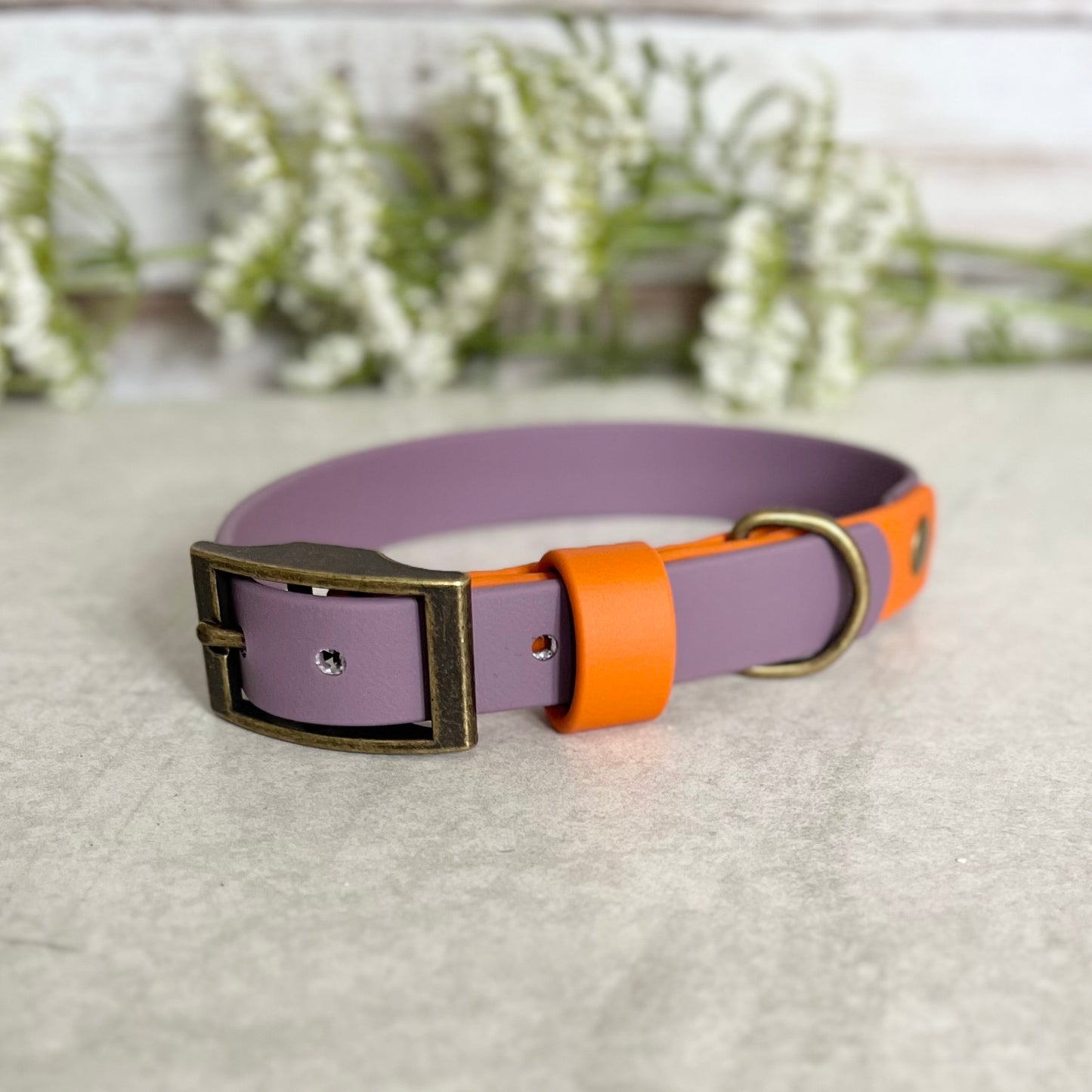 Two tone dog collar in Mauve and Orange. The collar strap is two colours fixed together with a rivet. The collar has a Biothane strap keeper and a metal D-ring with 5 x punched holes. All hardware is Antique Brass