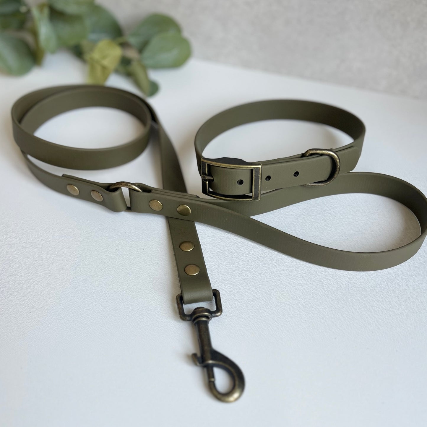 Olive green dog collar and lead set on a white surface with eucalyptus leaves.