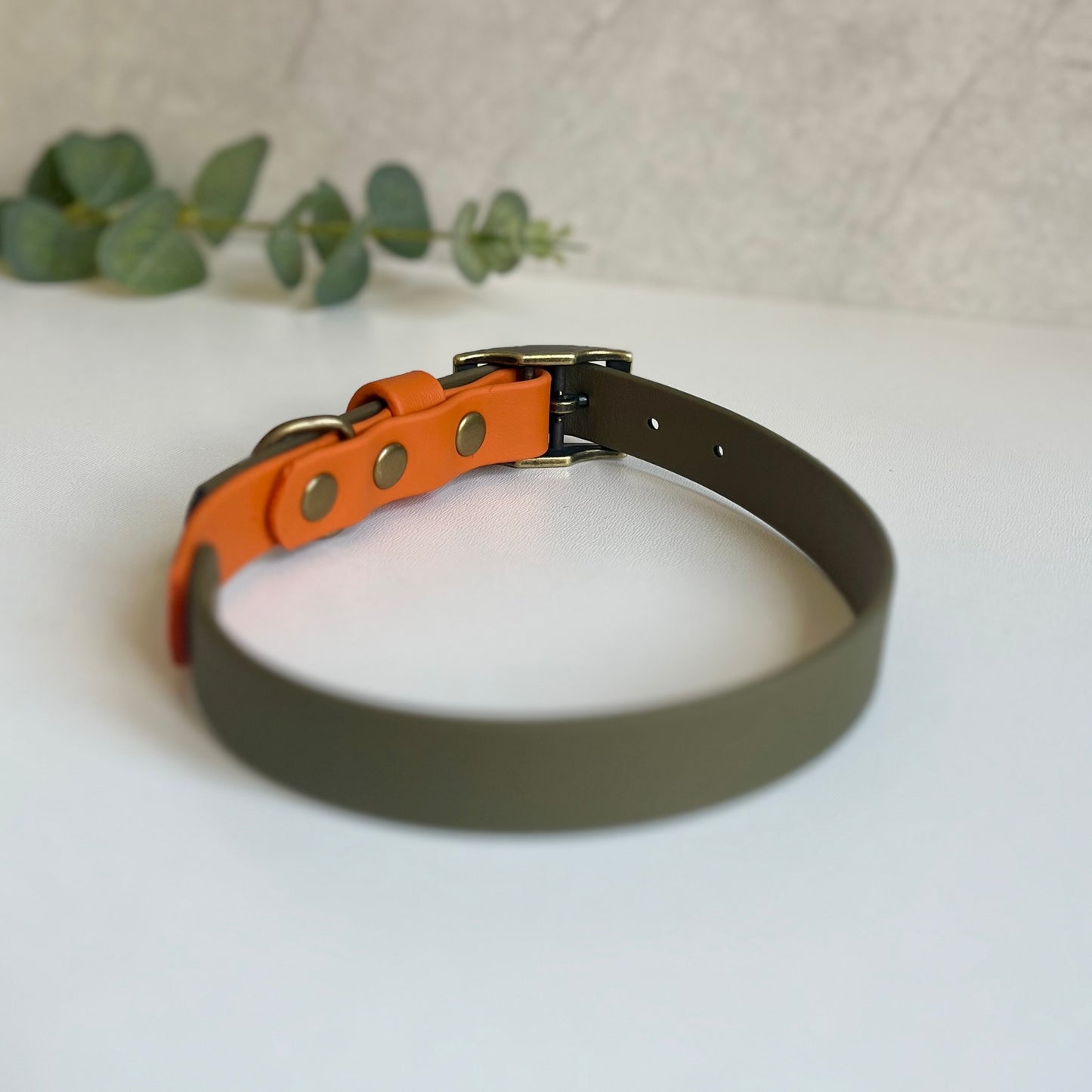 Dog collar with olive and orange design on a white surface with green leaves in the background
