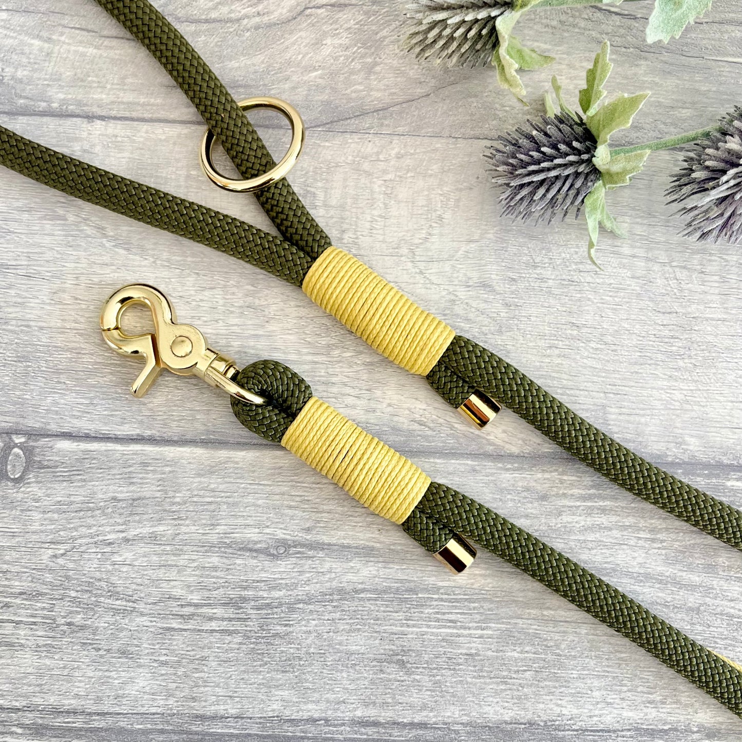 Olive Green Paracord rope lead with Pastel Yellow whipping securing each end together. At each end of the rope there is a metal end cap, a clip to connect to a collar at one end and a O-ring fixed to the handle. All hardware is Gold