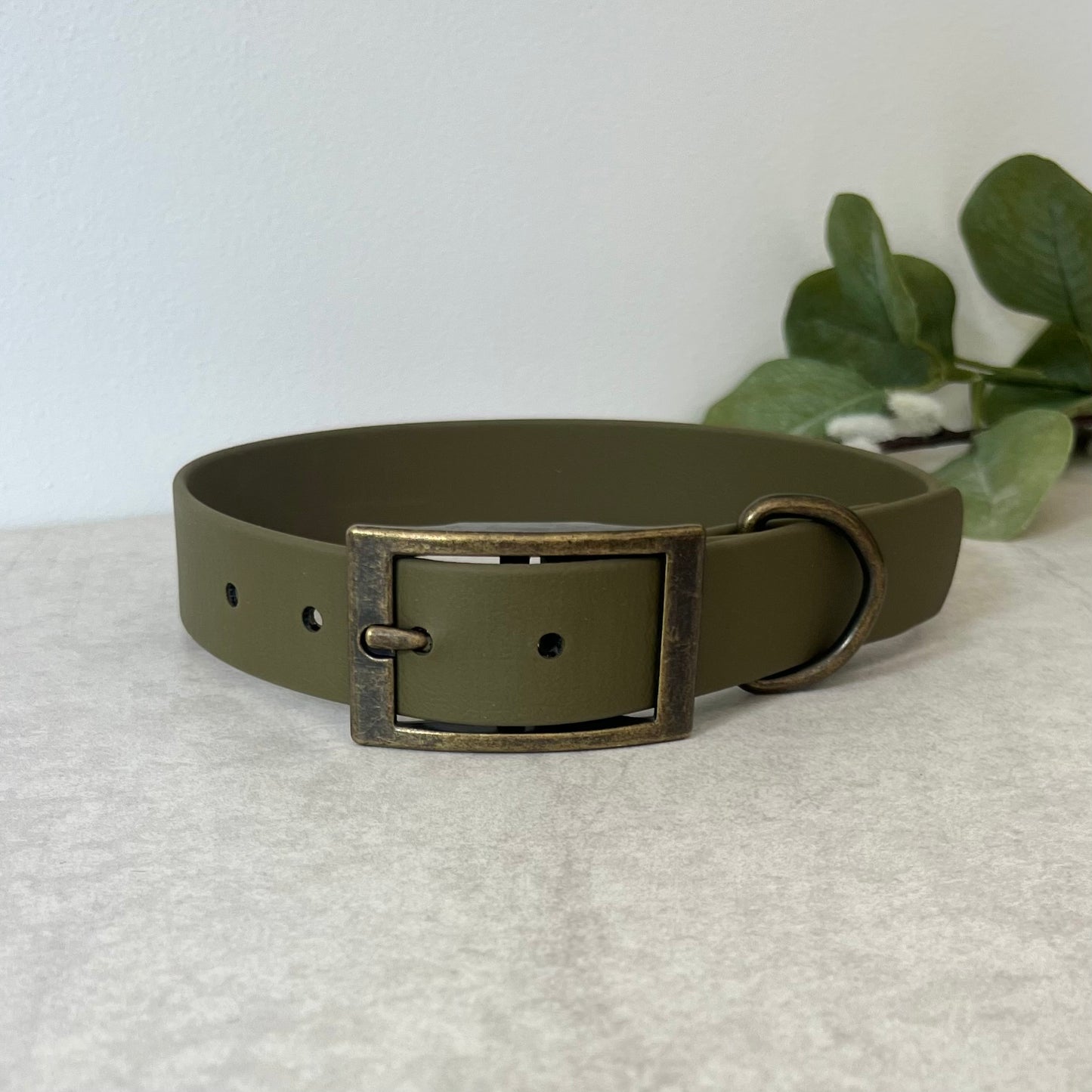 Olive Green Biothane dog collar with Antique Brass hardware. The collar is fastened with a buckle and has a d-ring. There are 5 punched holes spaced 2cm apart.