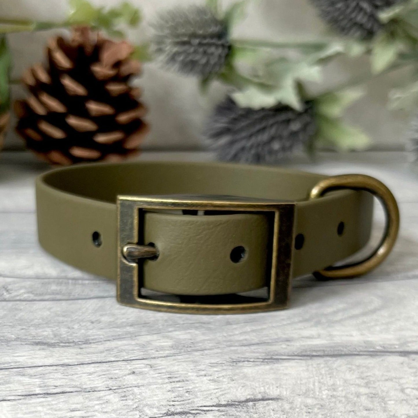 Olive Green Biothane dog collar with Antique Brass hardware. The collar is fastened with a buckle and has a d-ring. There are 5 punched holes spaced 2cm apart.